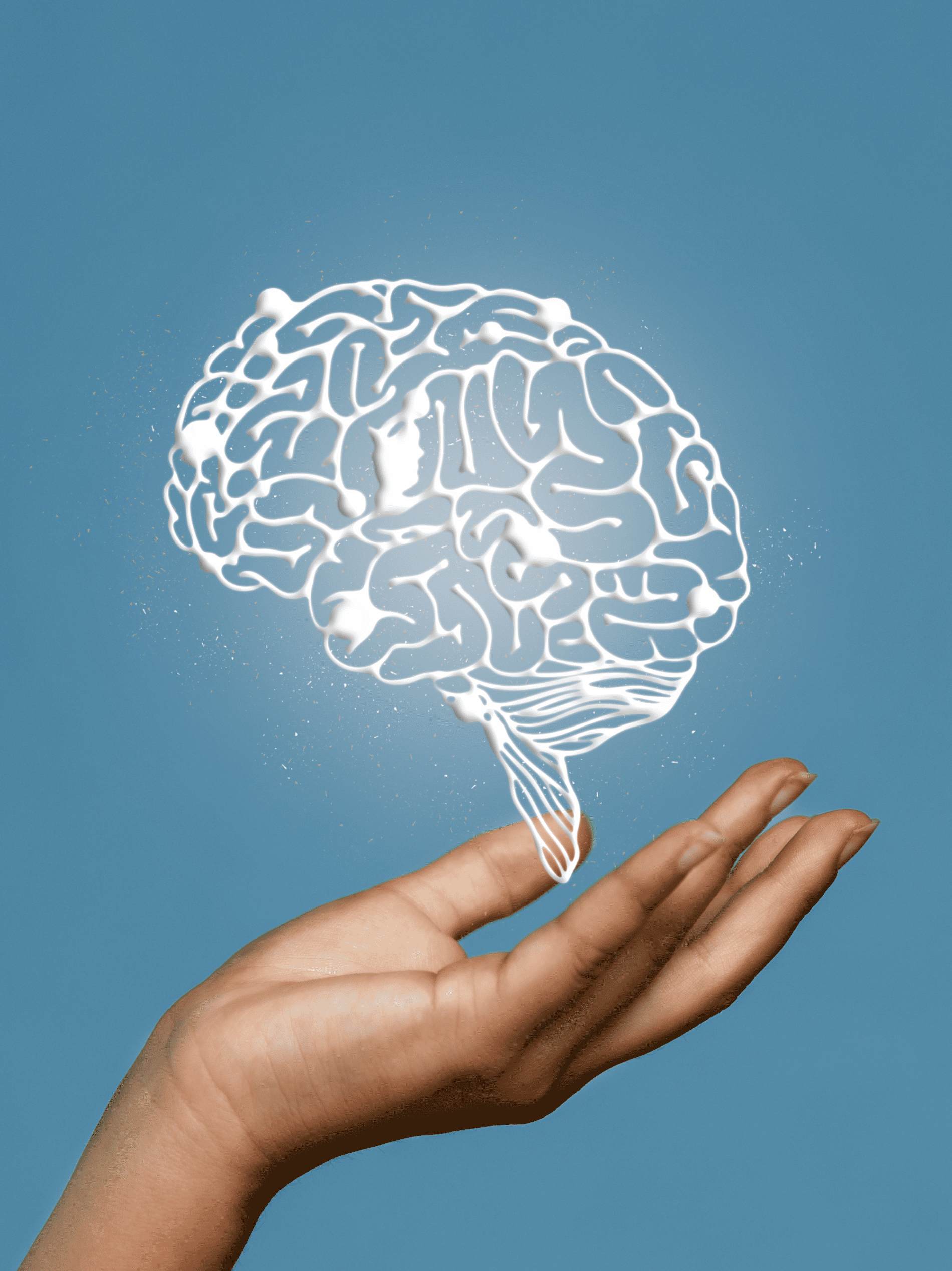 Dla kogo Mind+