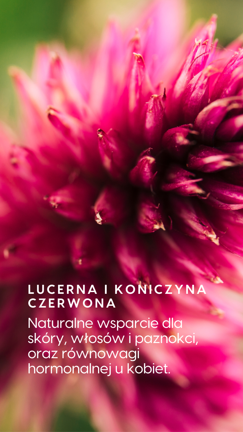 Dla kogo Multi ON Ziołowy