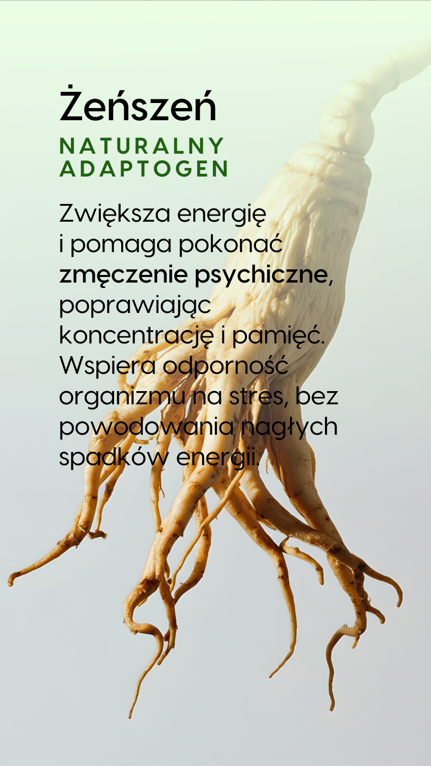 Dla kogo Multi ON Ziołowy