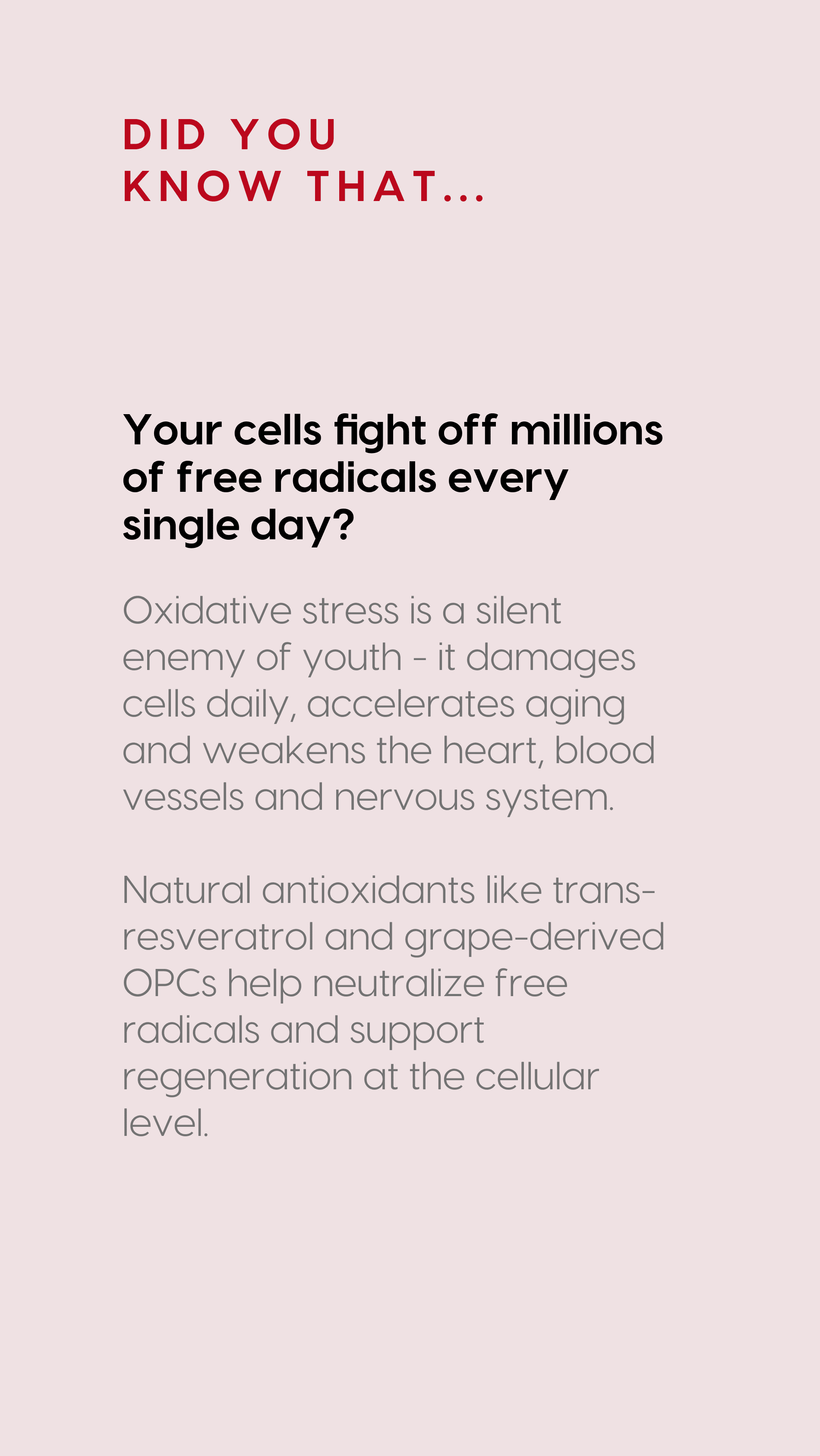 Resveratrol Liposom+ - Grape Vine 95% OPC in Liposomal Technology — story 5