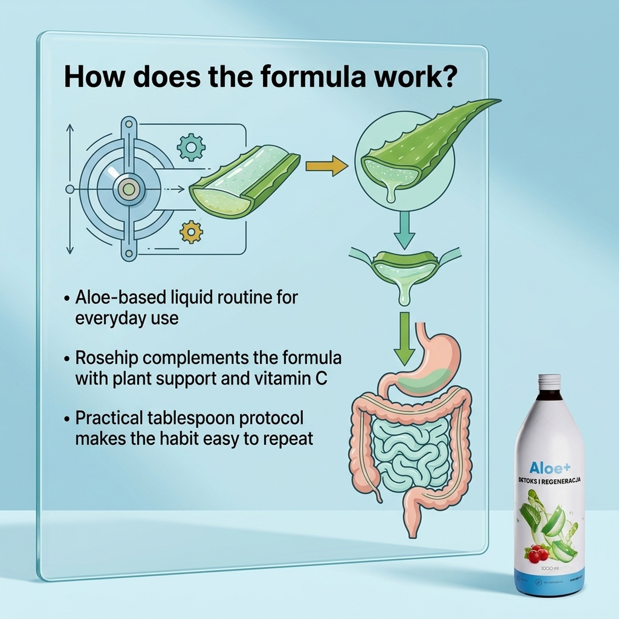 Aloe+ - Aloe Juice + Rose Hip + Vitamin C for Digestion and Immunity