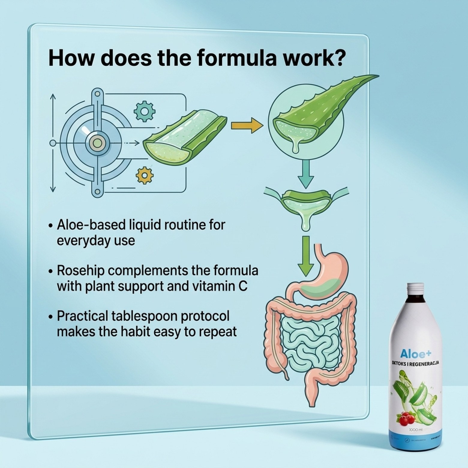 Aloe+ - Aloe Juice + Rose Hip + Vitamin C for Digestion and Immunity