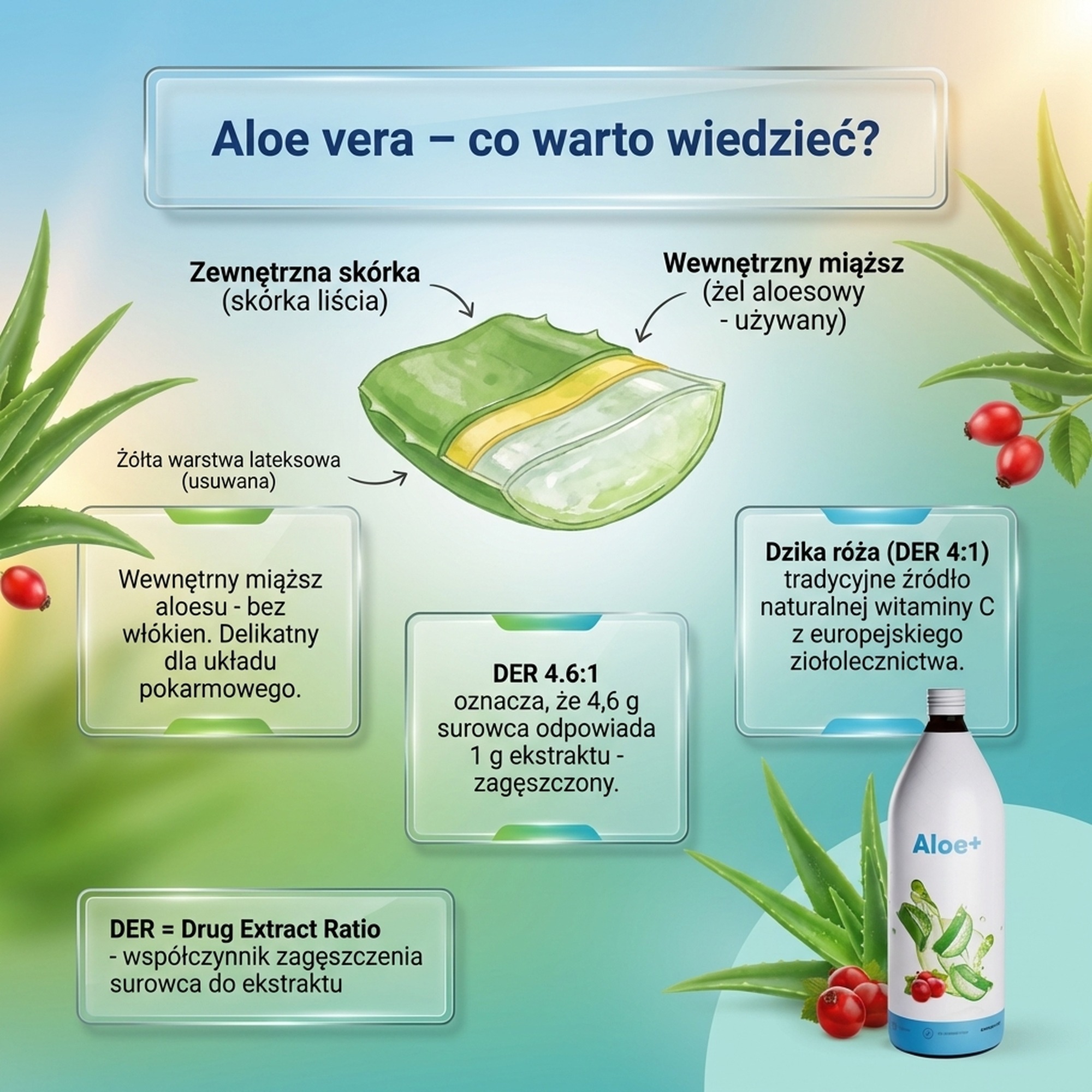 Aloe+ - Sok z aloesu + Dzika róża + Witamina C na trawienie i odporność