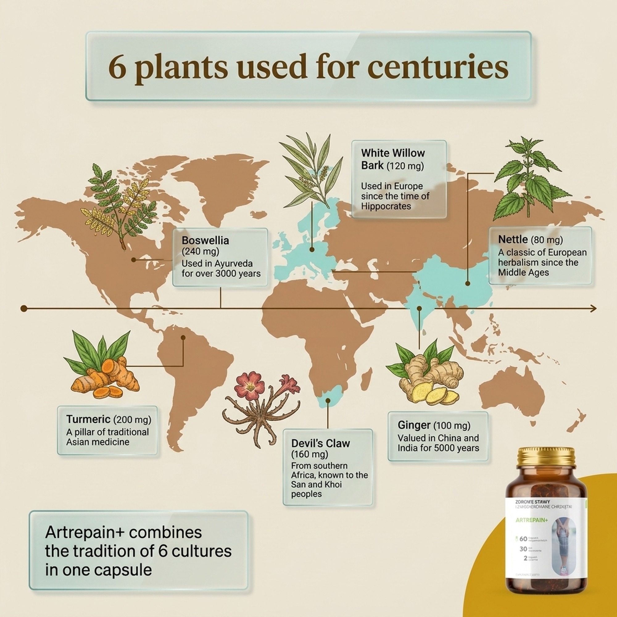 Artrepain+ - Boswellia + Ledebouriella + Achyranthes for Joint Support