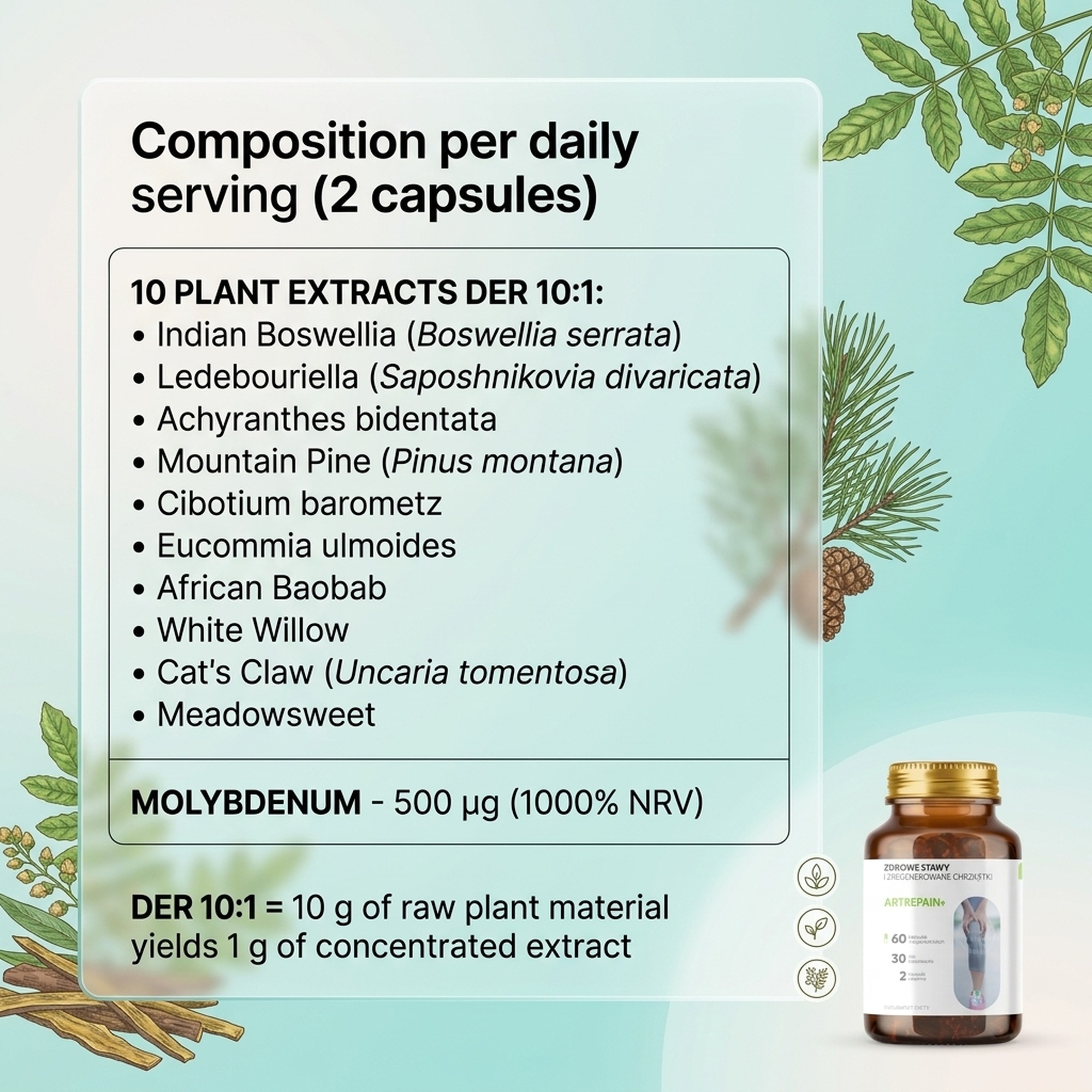 Artrepain+ - Boswellia + Ledebouriella + Achyranthes for Joint Support