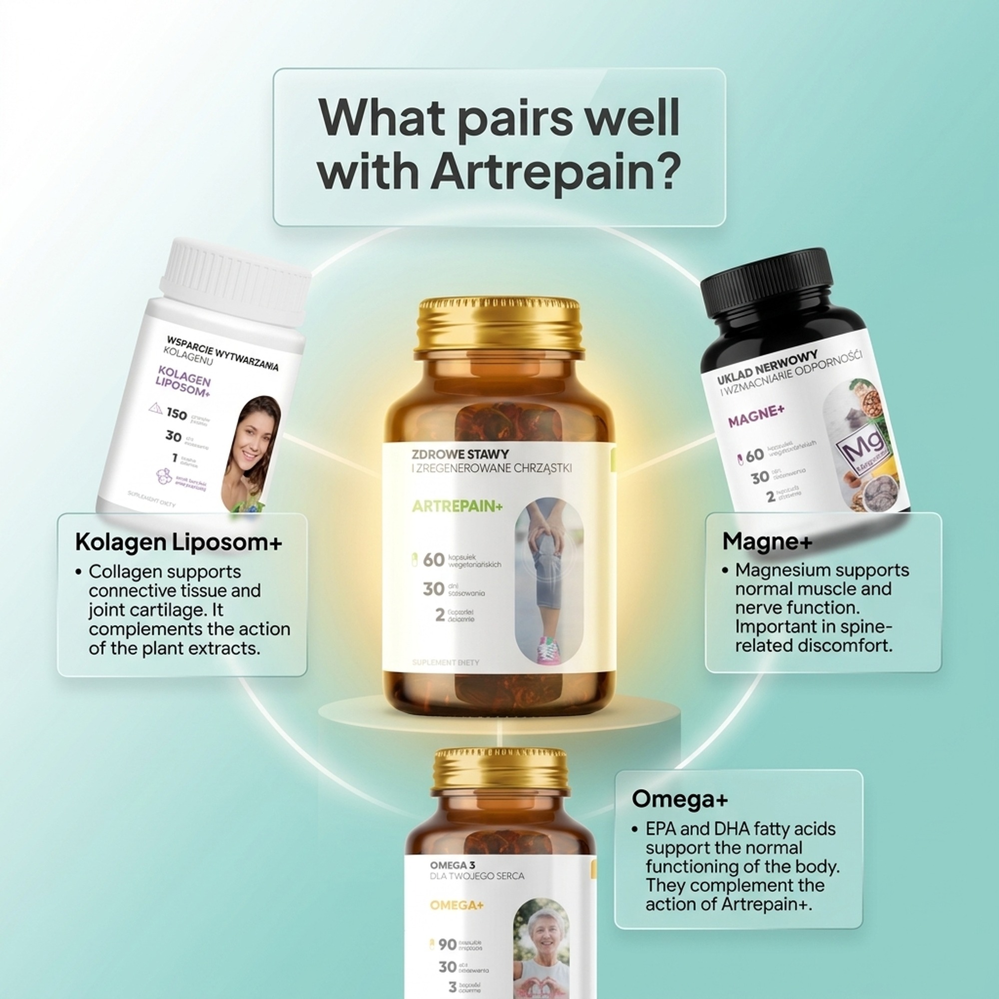 Artrepain+ - Boswellia + Ledebouriella + Achyranthes for Joint Support