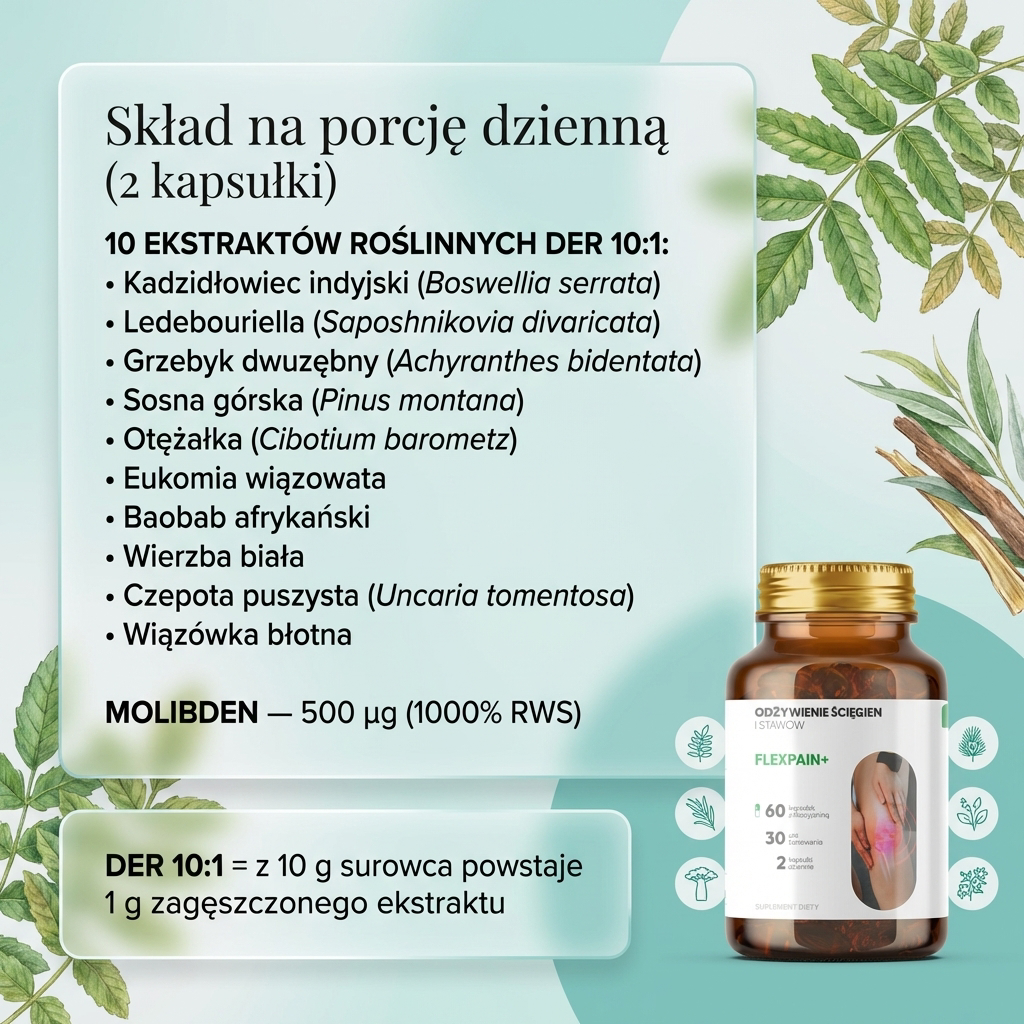 Artrepain+ - Kadzidłowiec + Ledebouriella + Grzebyk dwuzębny na stawy
