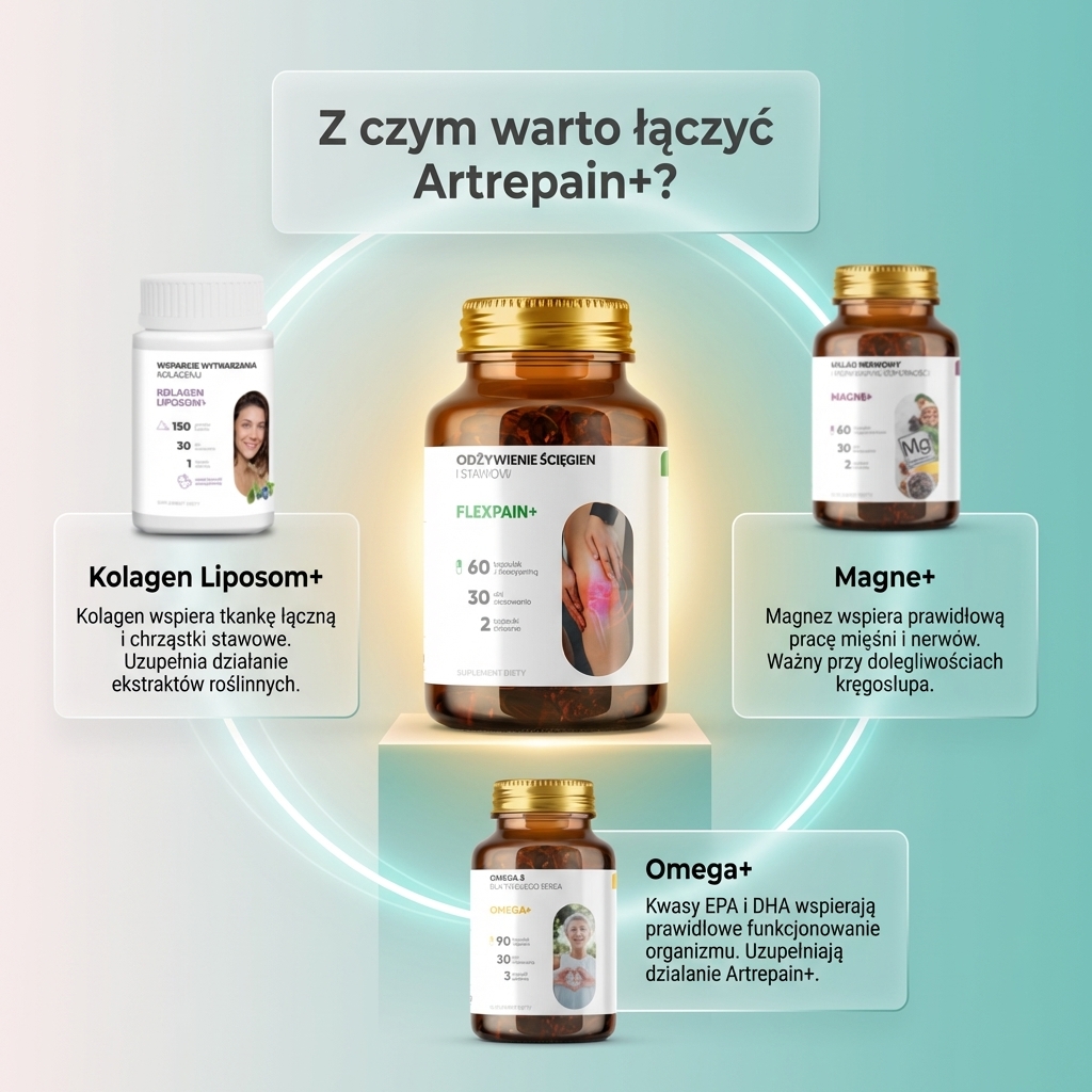 Artrepain+ - Kadzidłowiec + Ledebouriella + Grzebyk dwuzębny na stawy