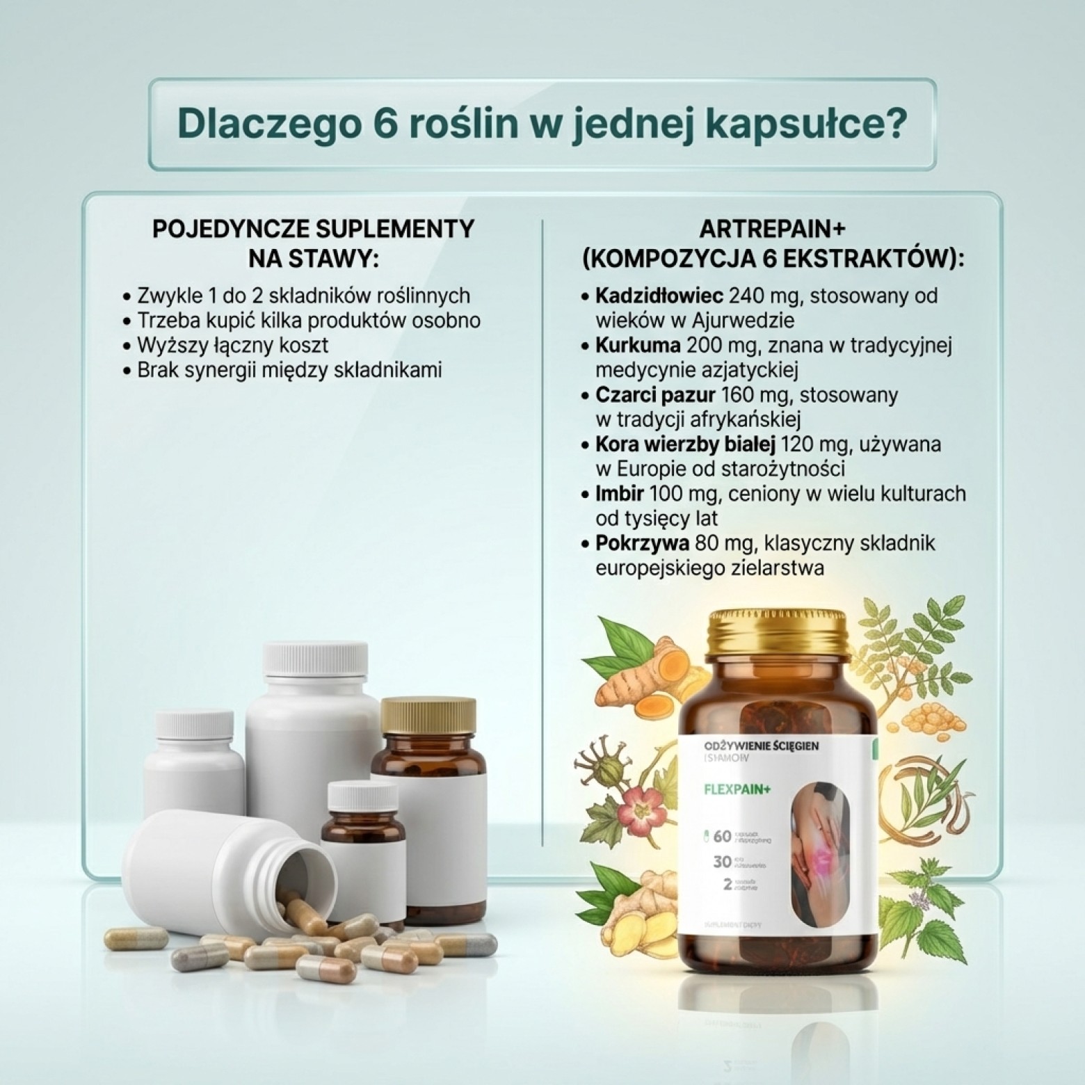 Artrepain+ - Kadzidłowiec + Ledebouriella + Grzebyk dwuzębny na stawy