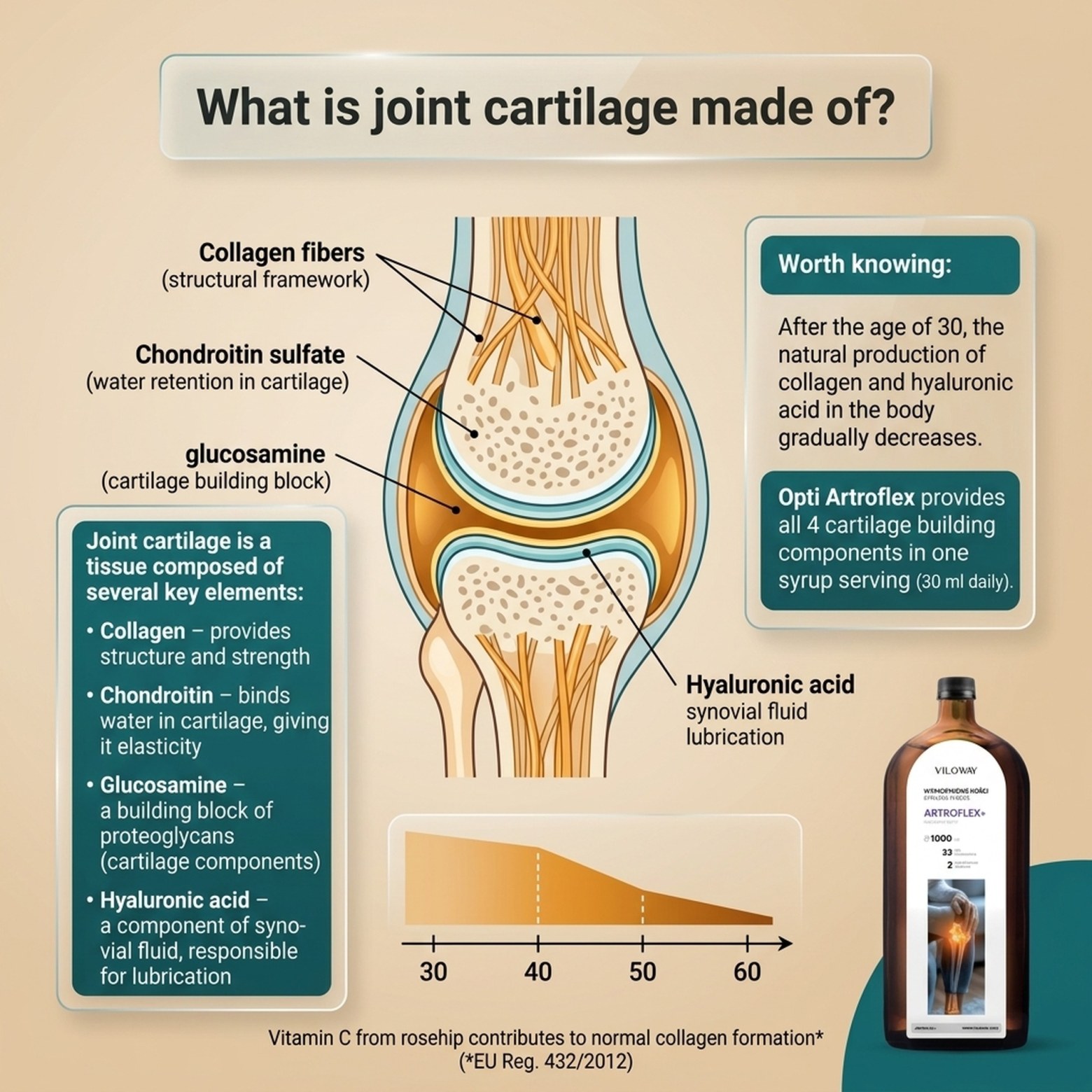 Artroflex - Chondroitin + Opti Artis + Collagen + Boswellia - Syrup