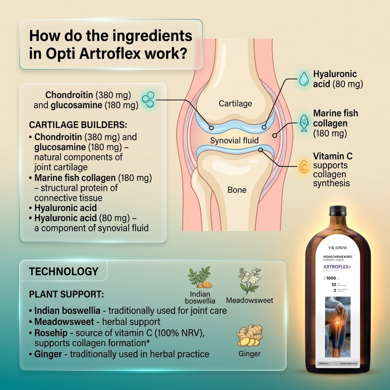 Artroflex - Chondroitin + Opti Artis + Collagen + Boswellia - Syrup