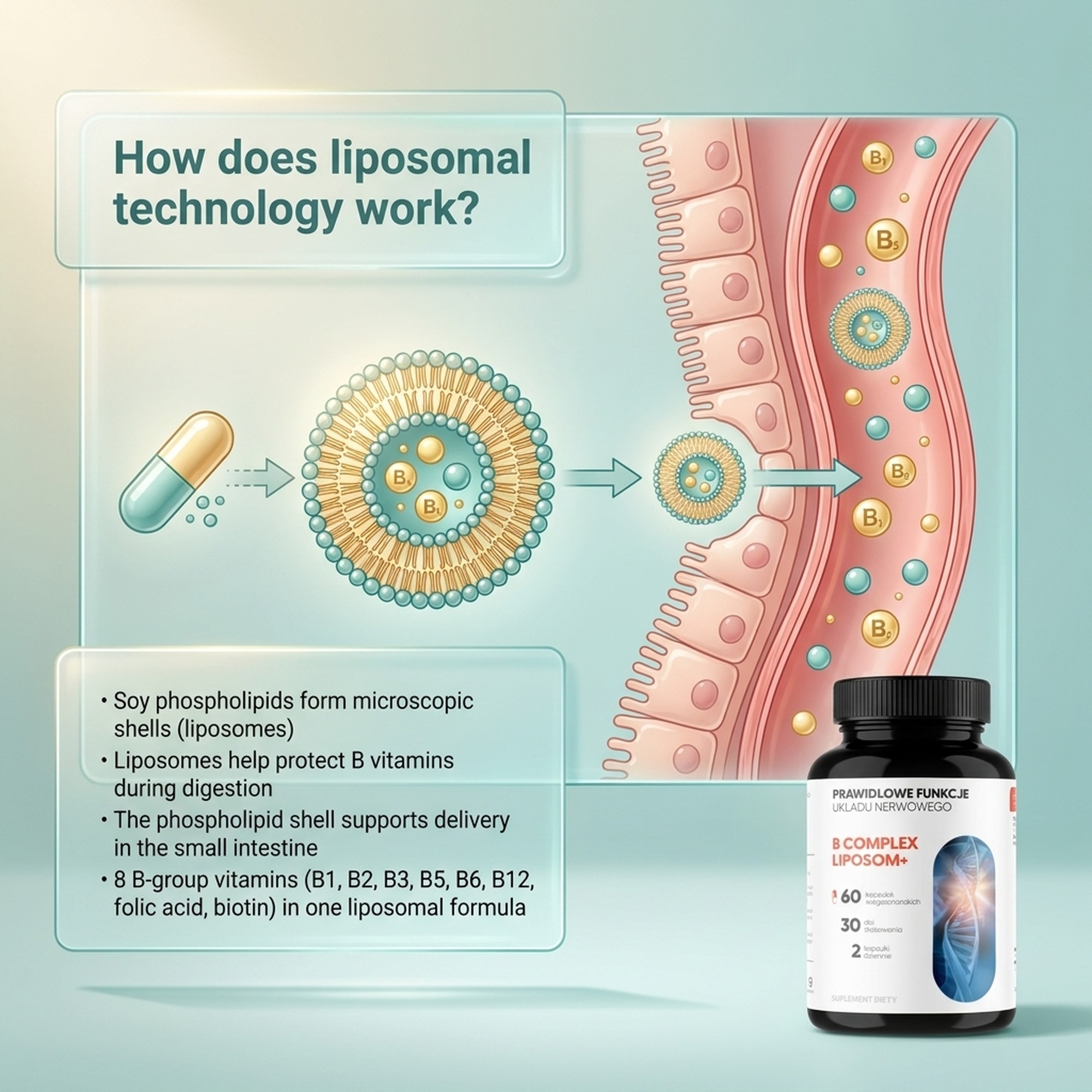 B Complex Liposom+ - 8 B Vitamins in Liposomal Technology