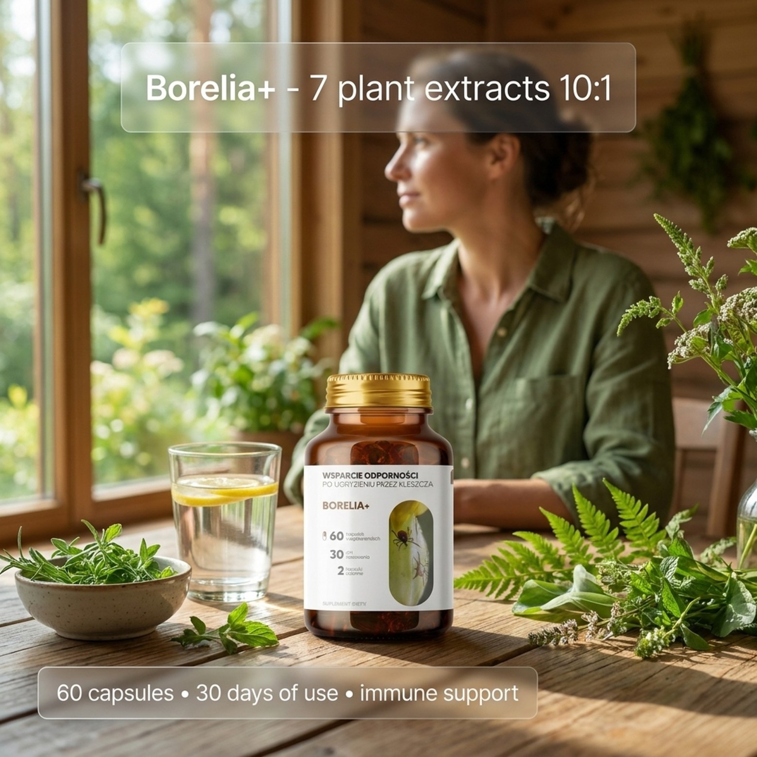 Borelia+ - Baikal Skullcap + Rock Rose + Teasel in a botanical formula