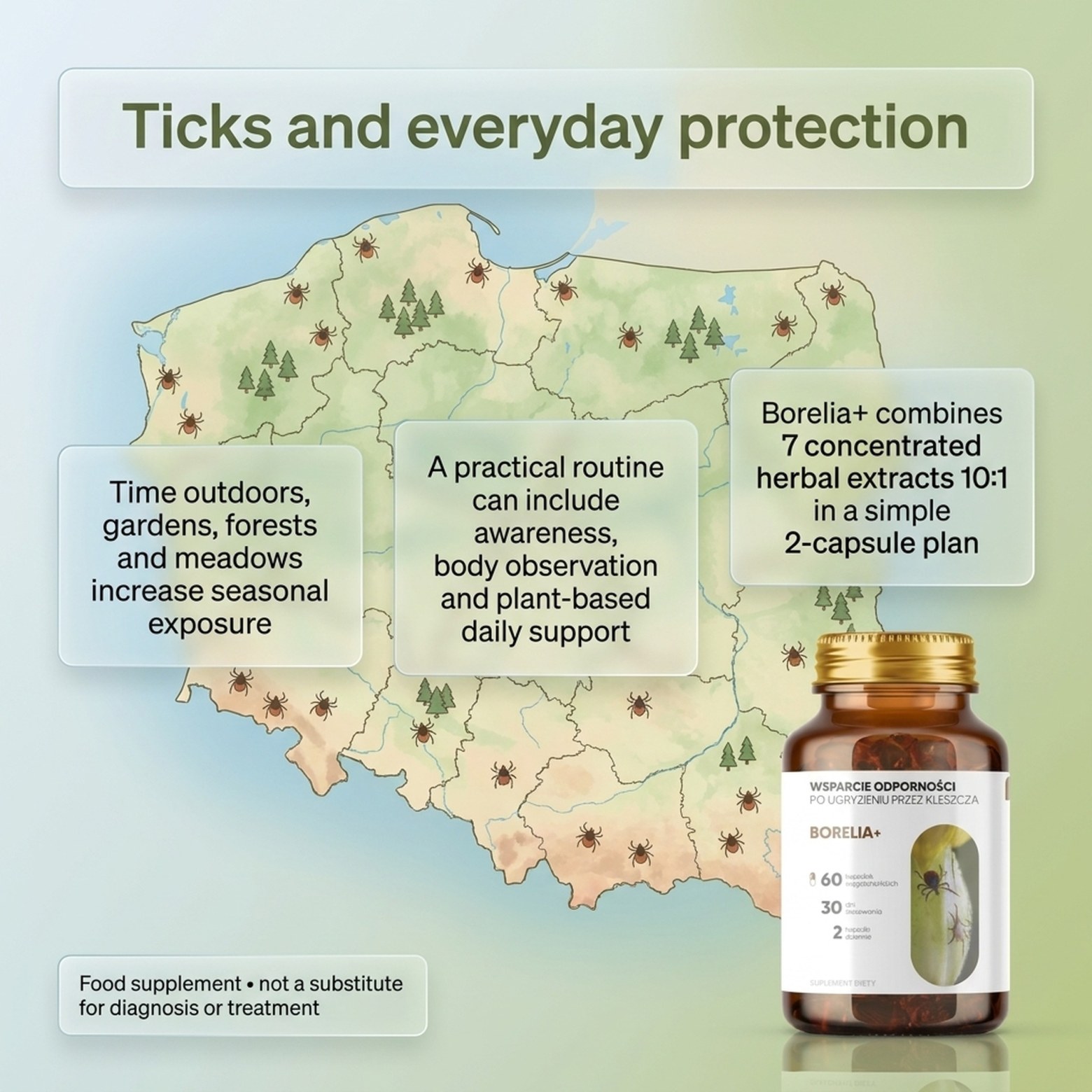 Borelia+ - Baikal Skullcap + Rock Rose + Teasel in a botanical formula