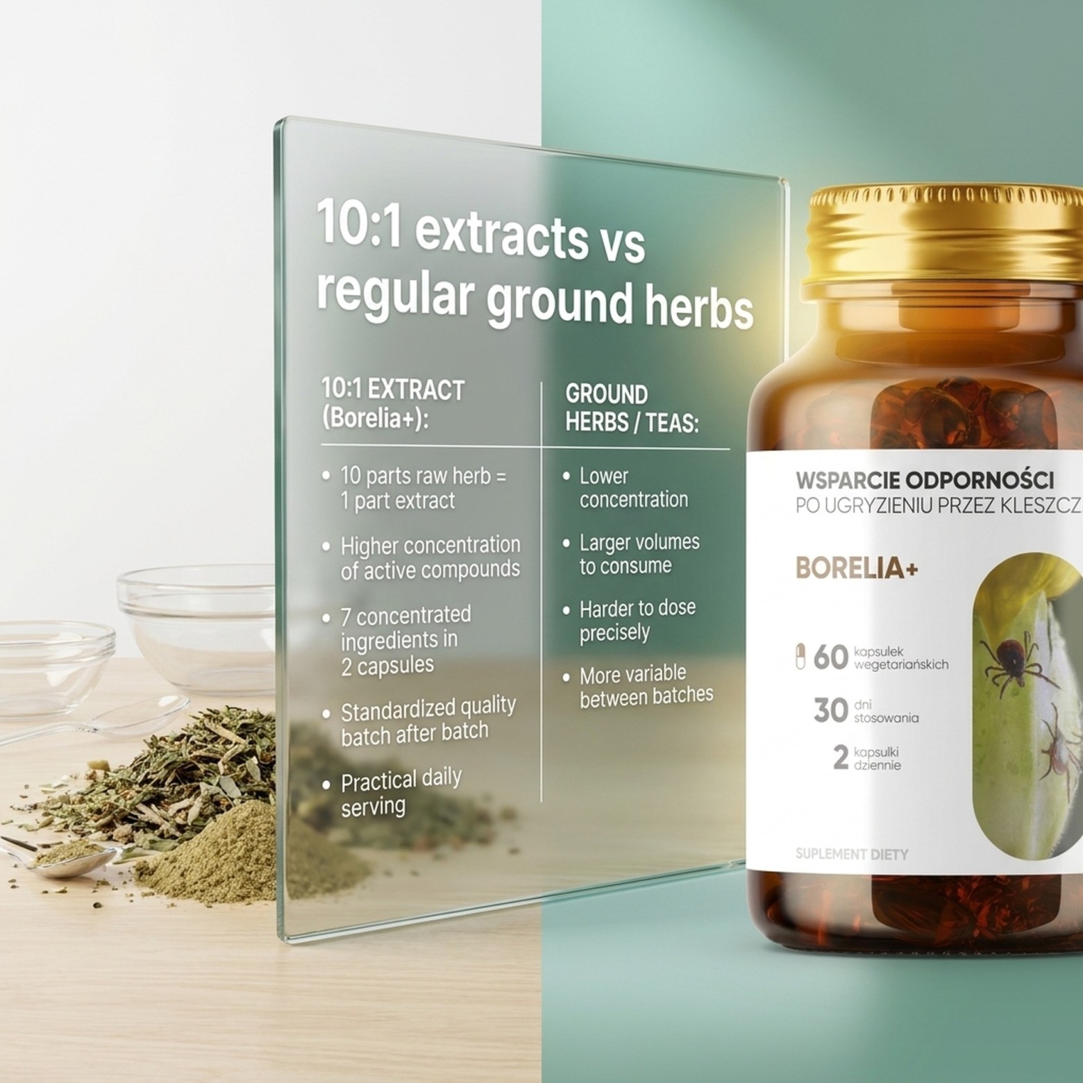 Borelia+ - Baikal Skullcap + Rock Rose + Teasel in a botanical formula