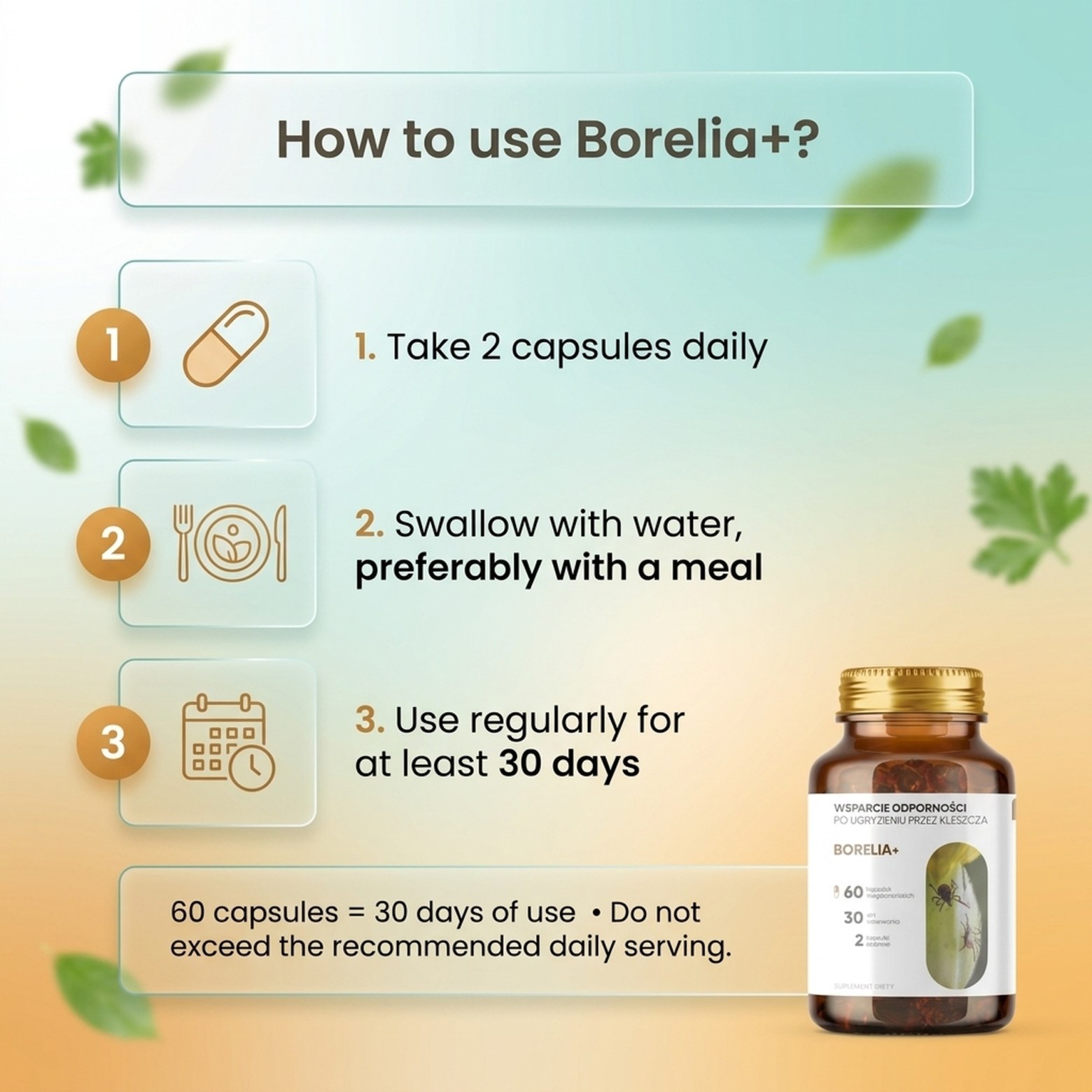 Borelia+ - Baikal Skullcap + Rock Rose + Teasel in a botanical formula