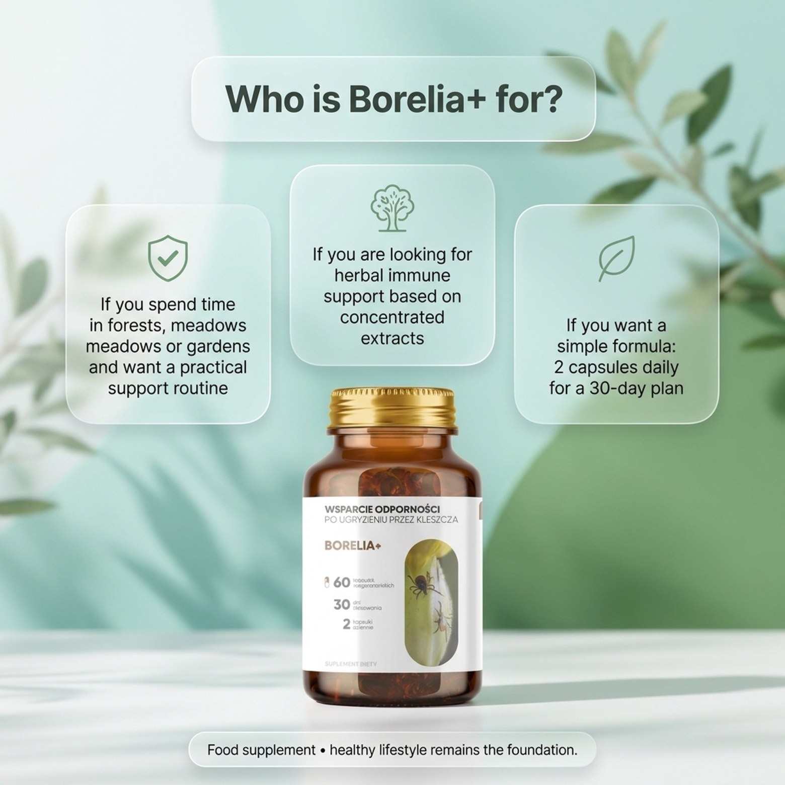 Borelia+ - Baikal Skullcap + Rock Rose + Teasel in a botanical formula