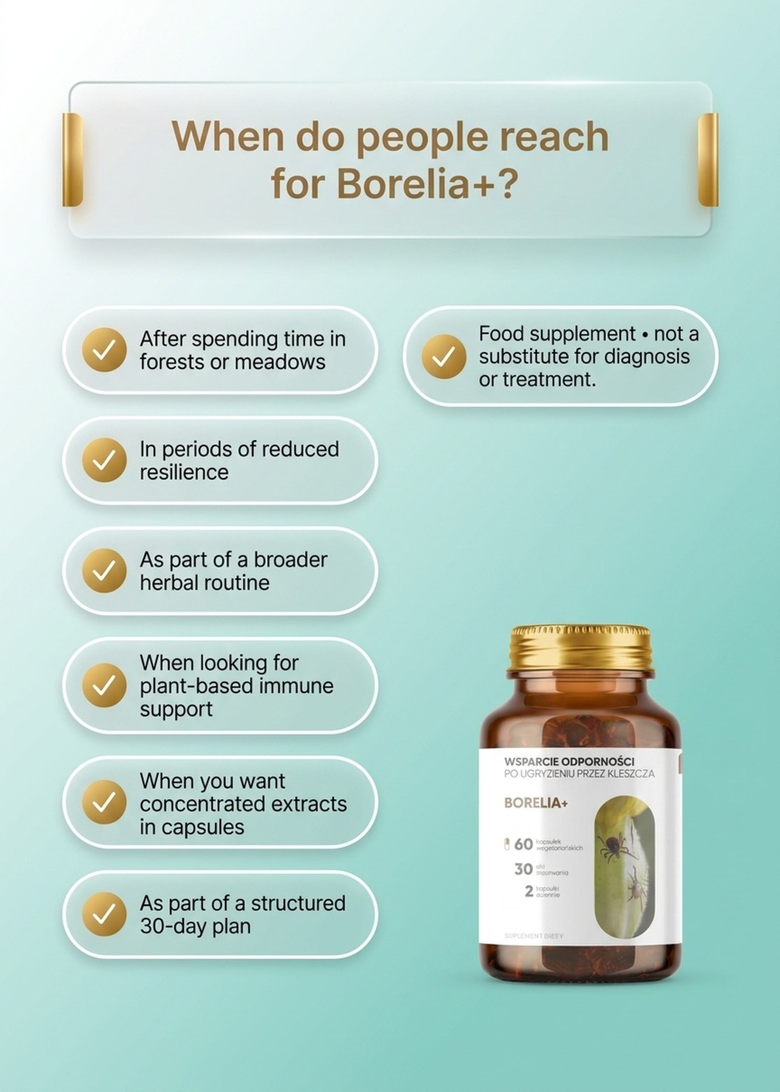 Borelia+ - Baikal Skullcap + Rock Rose + Teasel in a botanical formula
