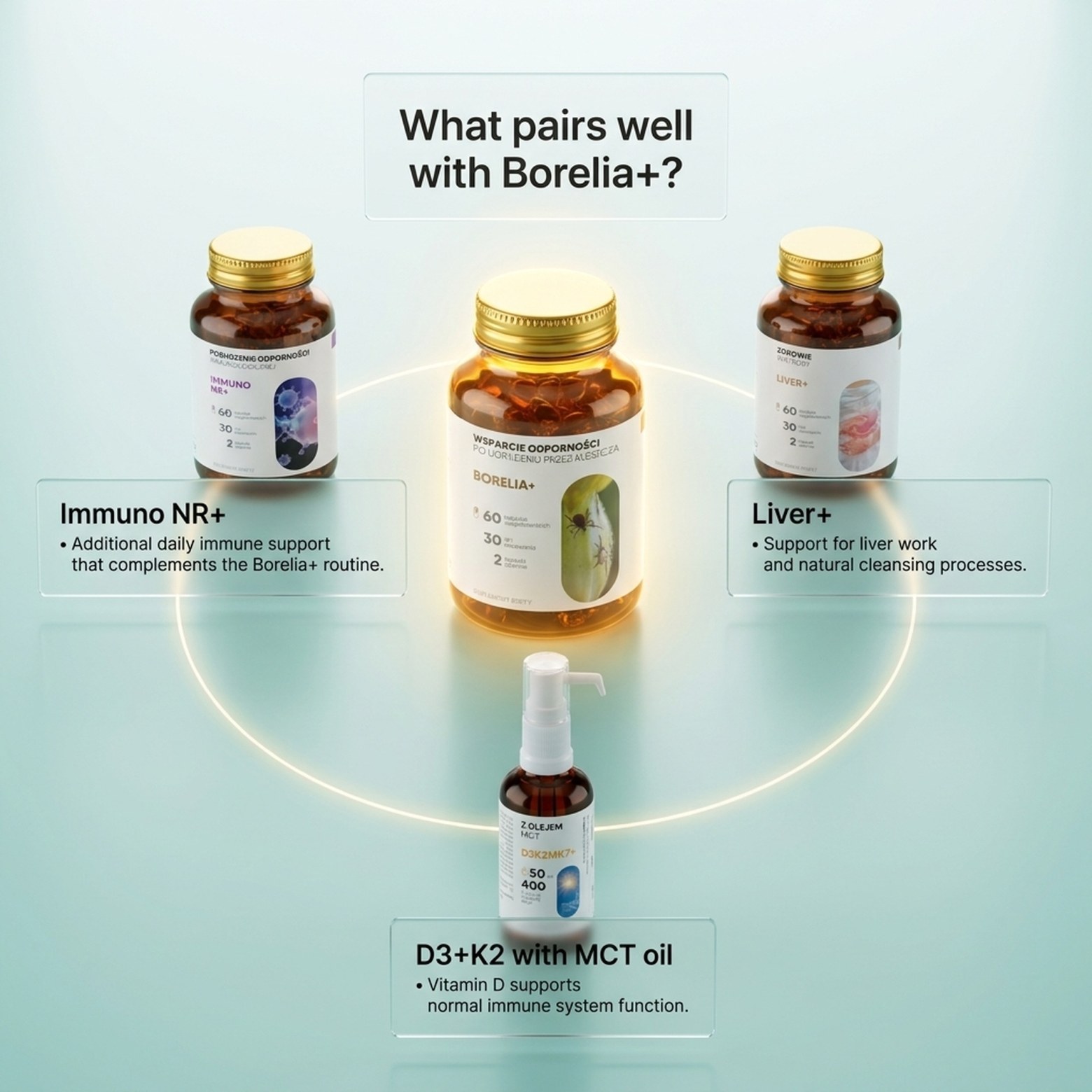 Borelia+ - Baikal Skullcap + Rock Rose + Teasel in a botanical formula