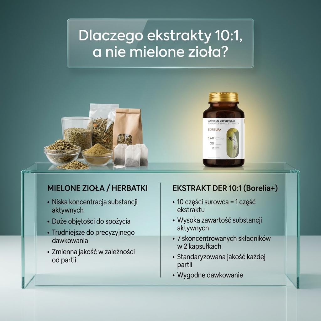 Borelia+ - Tarczyca bajkalska + Czystek + Szczeć w formule roślinnej