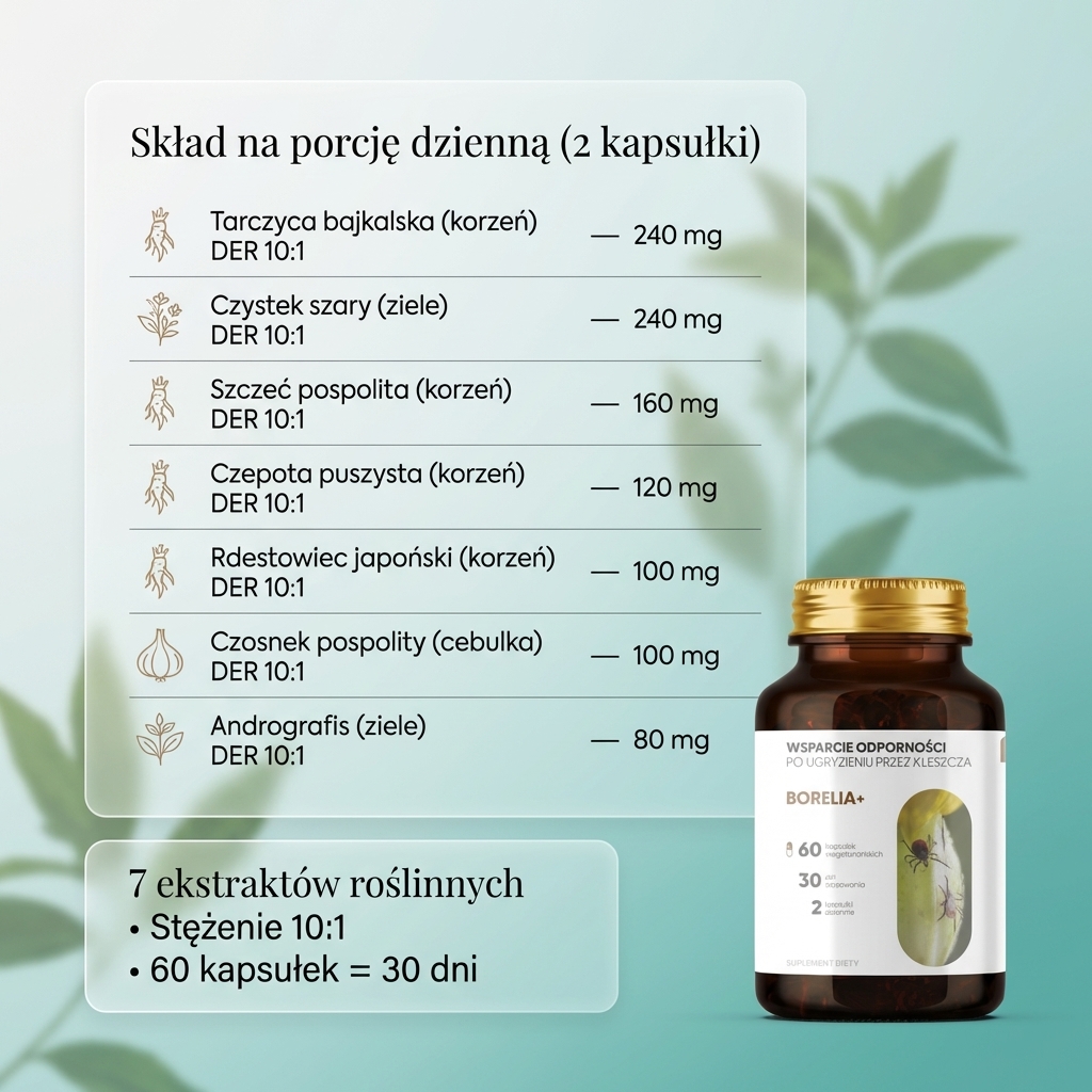 Borelia+ - Tarczyca bajkalska + Czystek + Szczeć w formule roślinnej