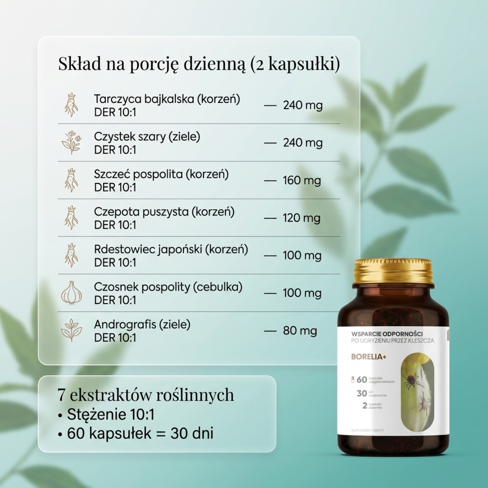 Składniki aktywne Borelia+