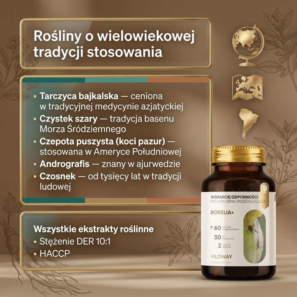 Borelia+ - Tarczyca bajkalska + Czystek + Szczeć w formule roślinnej