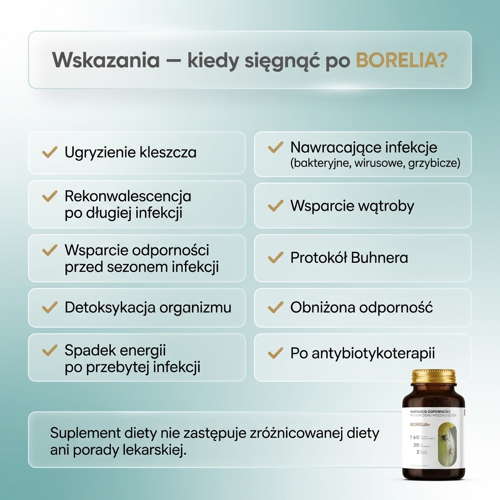 Borelia+ - Tarczyca bajkalska + Czystek + Szczeć w formule roślinnej