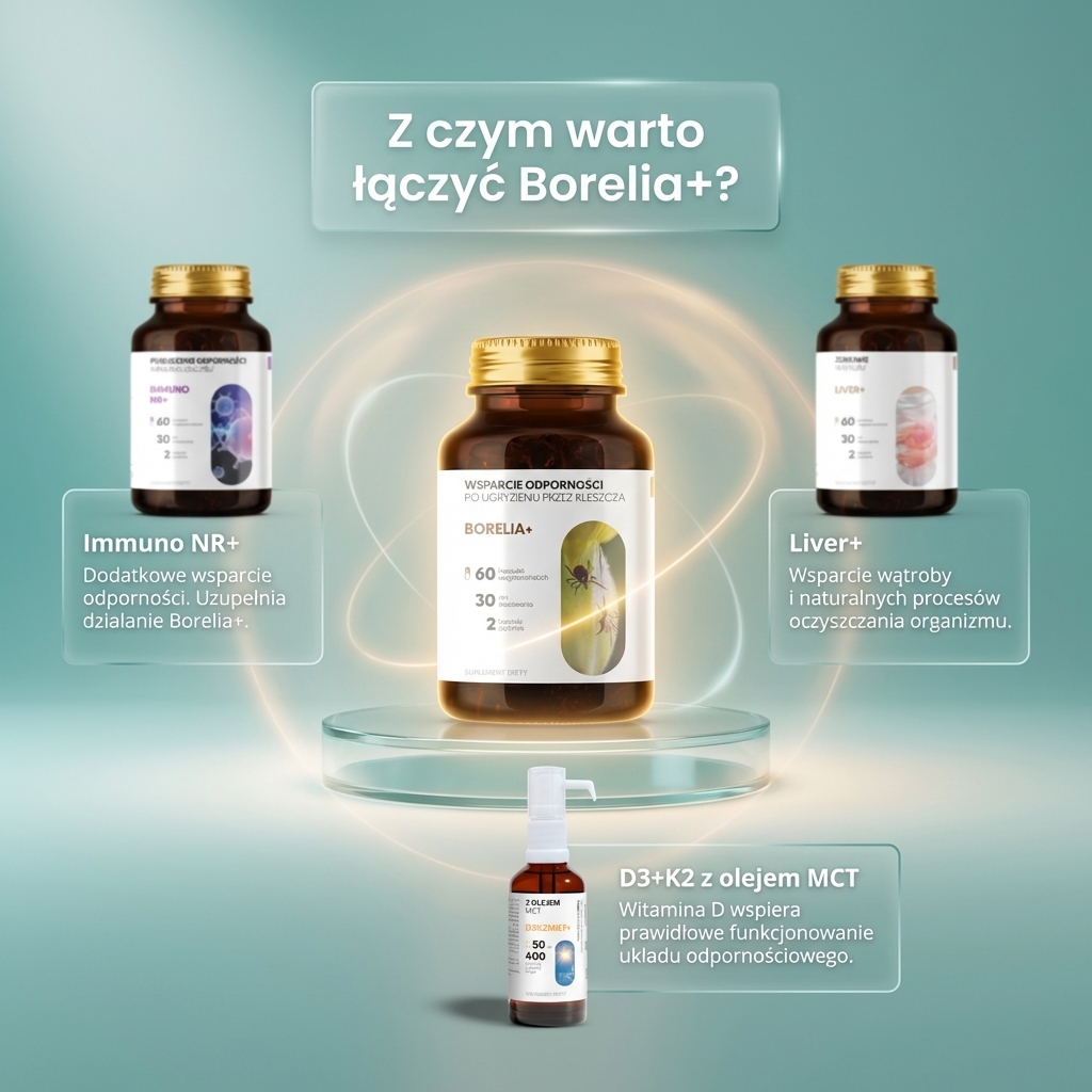 Borelia+ - Tarczyca bajkalska + Czystek + Szczeć w formule roślinnej