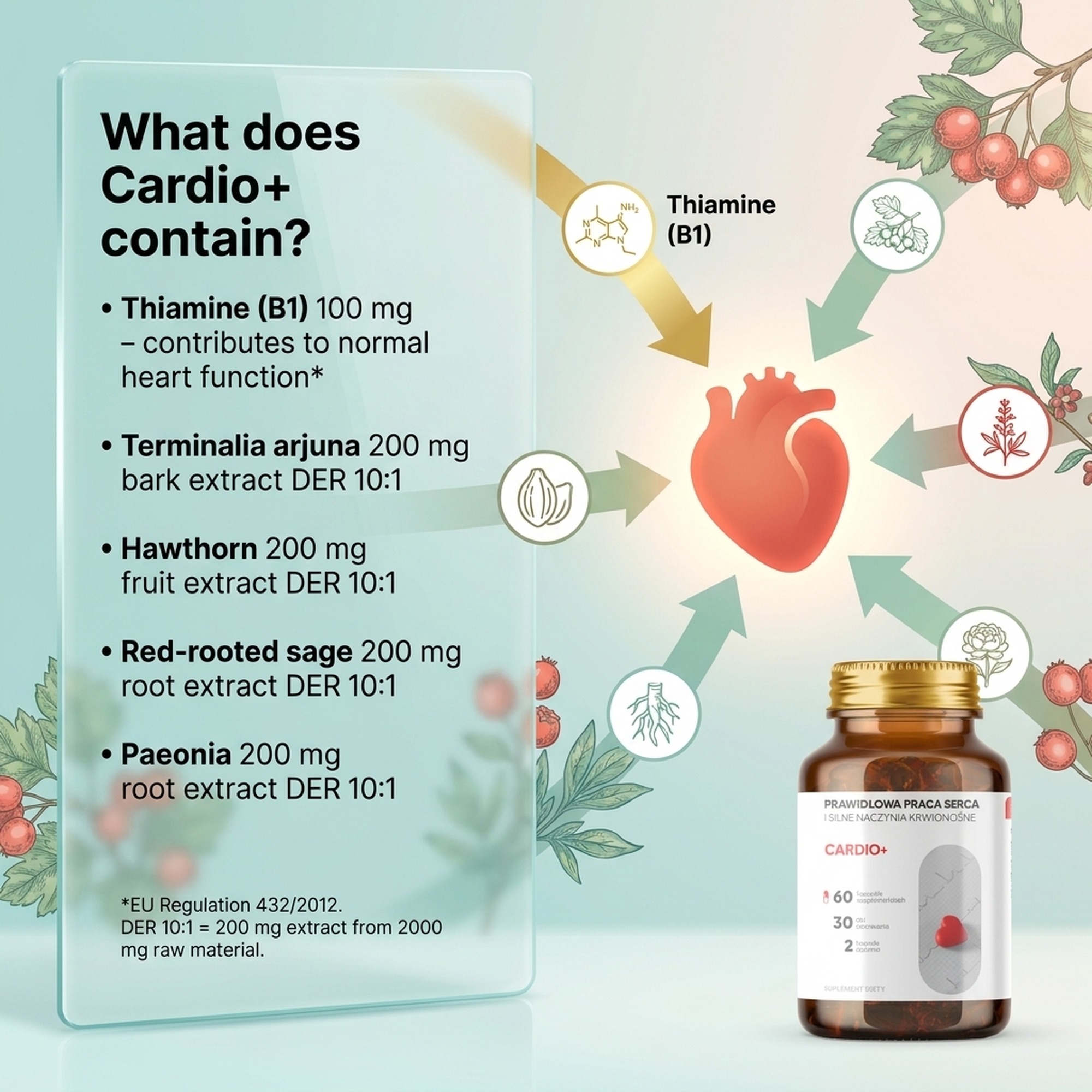 Cardio+ - Arjuna + Red-Rooted Sage + Hawthorn for Heart Health