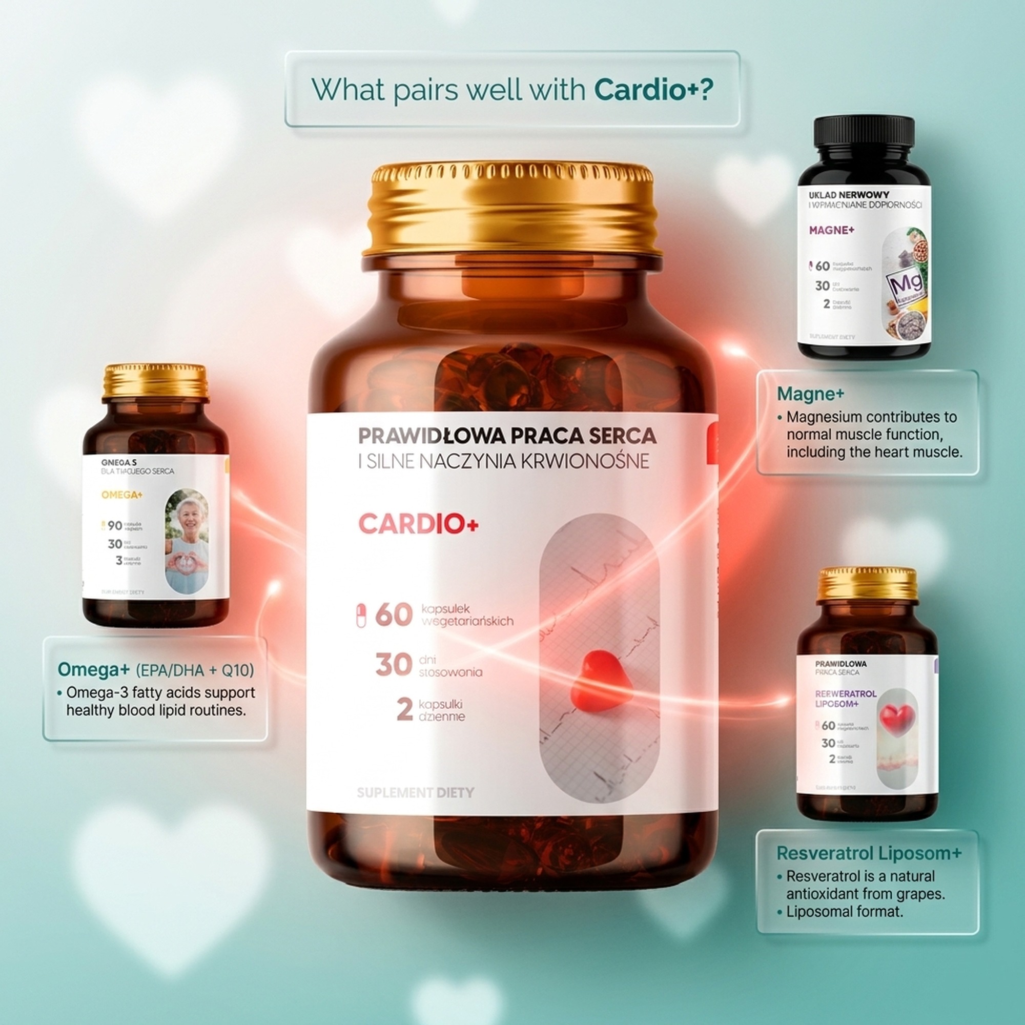 Cardio+ - Arjuna + Red-Rooted Sage + Hawthorn for Heart Health