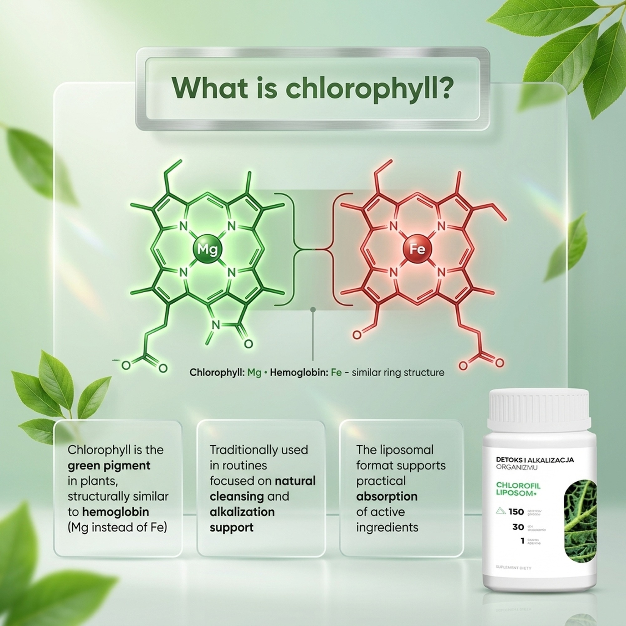 Chlorofil Liposom+ - Chlorophyll, Alfalfa and Green Oat in a Premium Formula