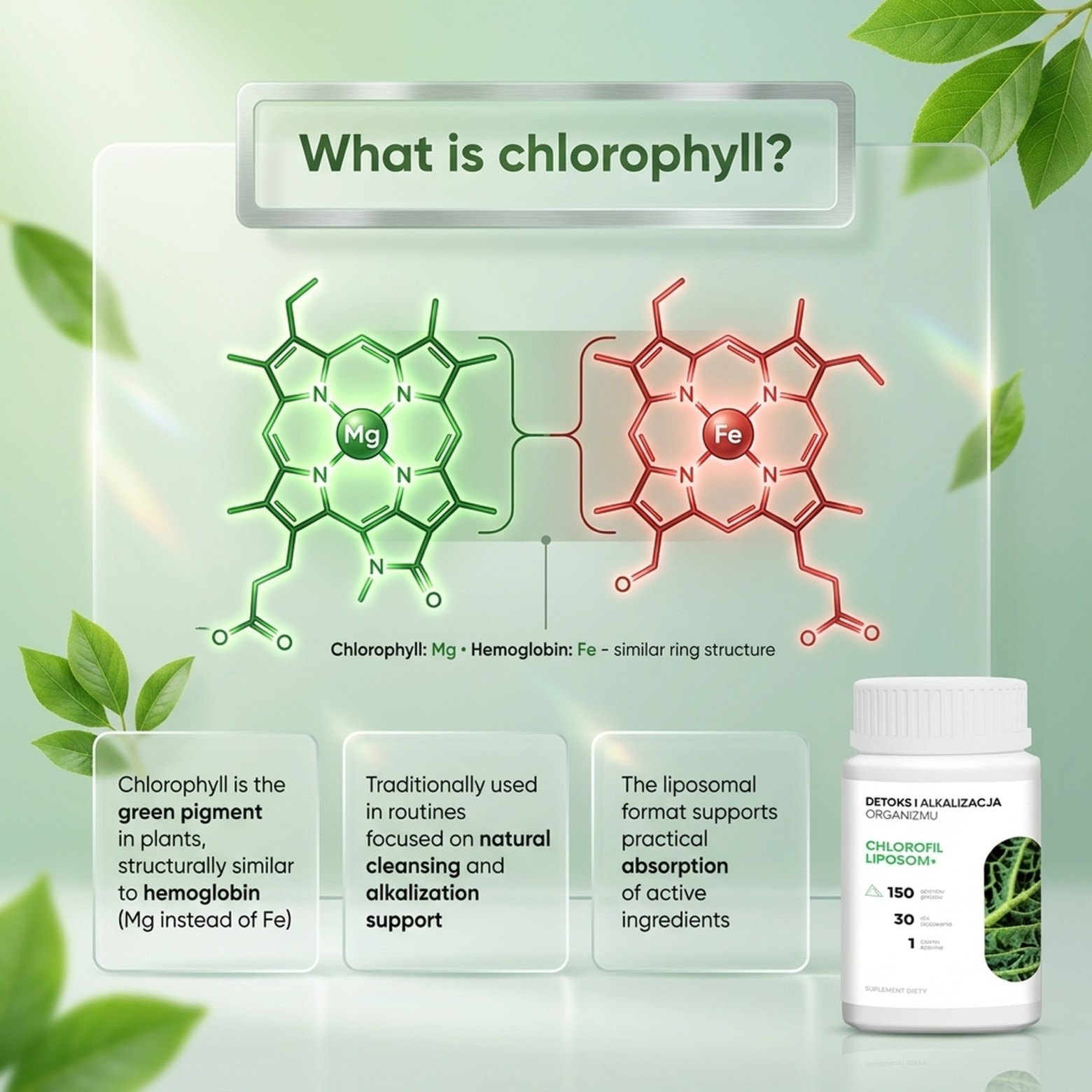 Chlorofil Liposom+ - Chlorophyll, Alfalfa and Green Oat in a Premium Formula