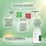 Chlorofil Liposom+ - Chlorofil + Owies + Lucerna na detoks i alkalizację