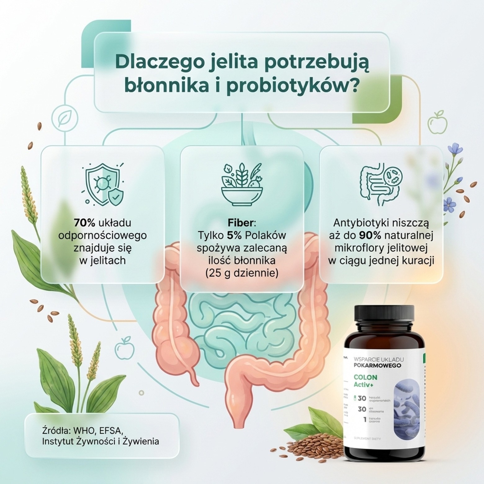 Colon Activ 30 - Probiotyk Acidophilus + Rhamnosus + Bifidobacterium