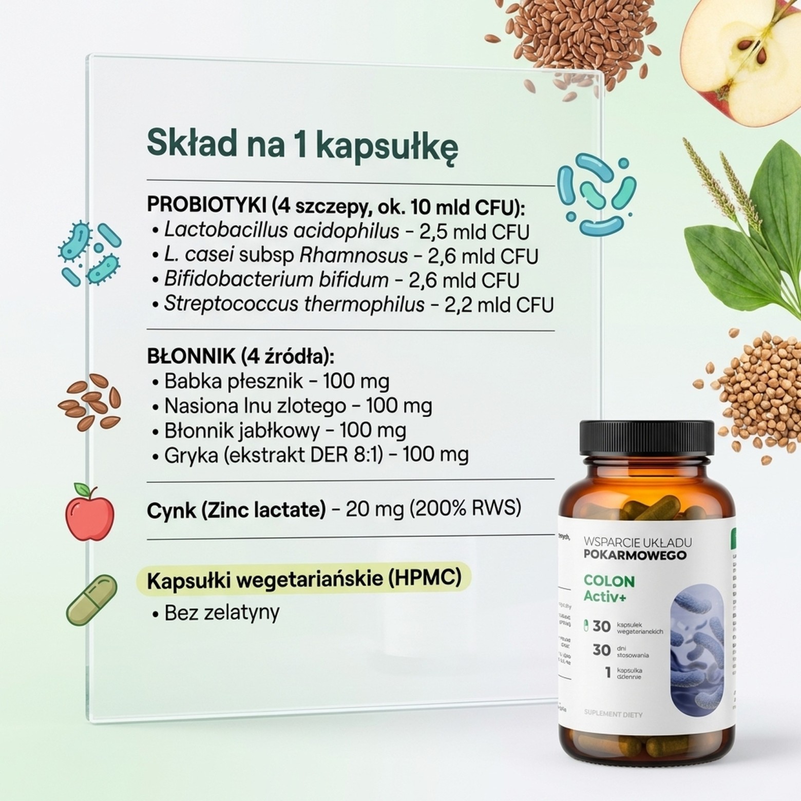 Skład Colon Activ 30 - Probiotyk Acidophilus + Rhamnosus + Bifidobacterium