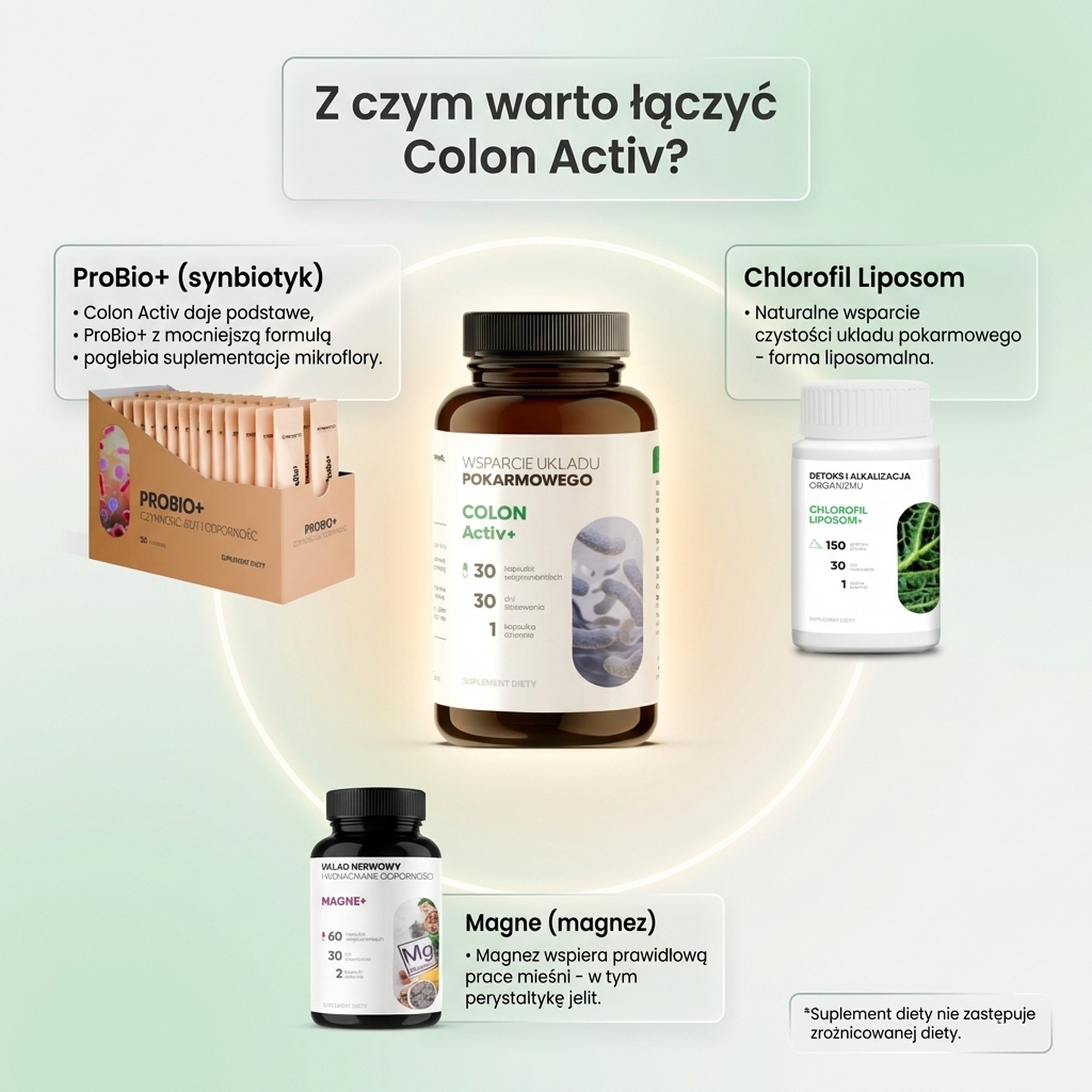 Colon Activ 30 - Probiotyk Acidophilus + Rhamnosus + Bifidobacterium