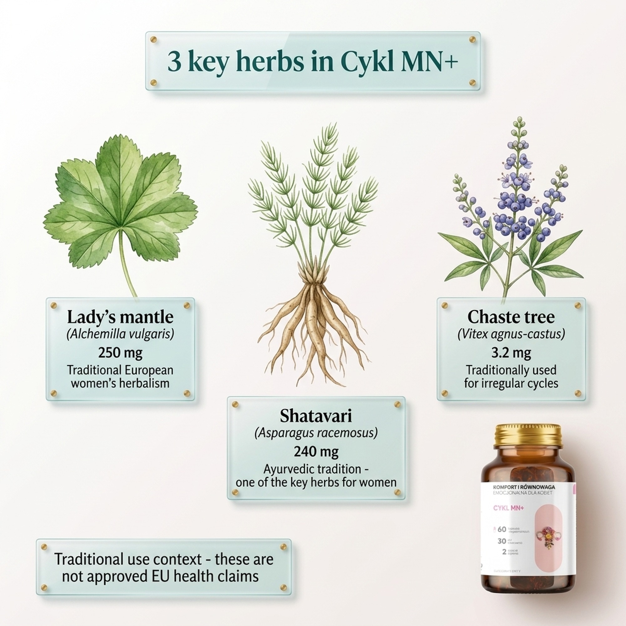 Cykl MN+ - Alchemilla + Shatavari + Raspberry for Cycle Harmony