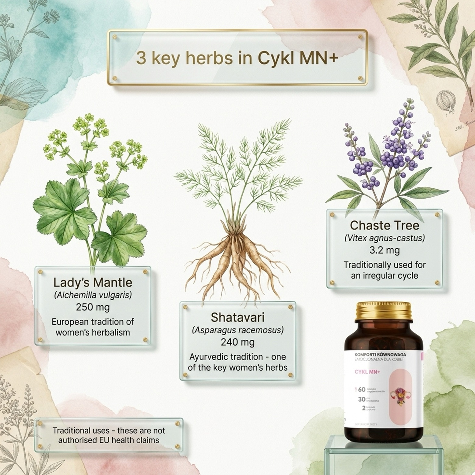 Cykl MN+ - Alchemilla + Shatavari + Raspberry for Cycle Harmony