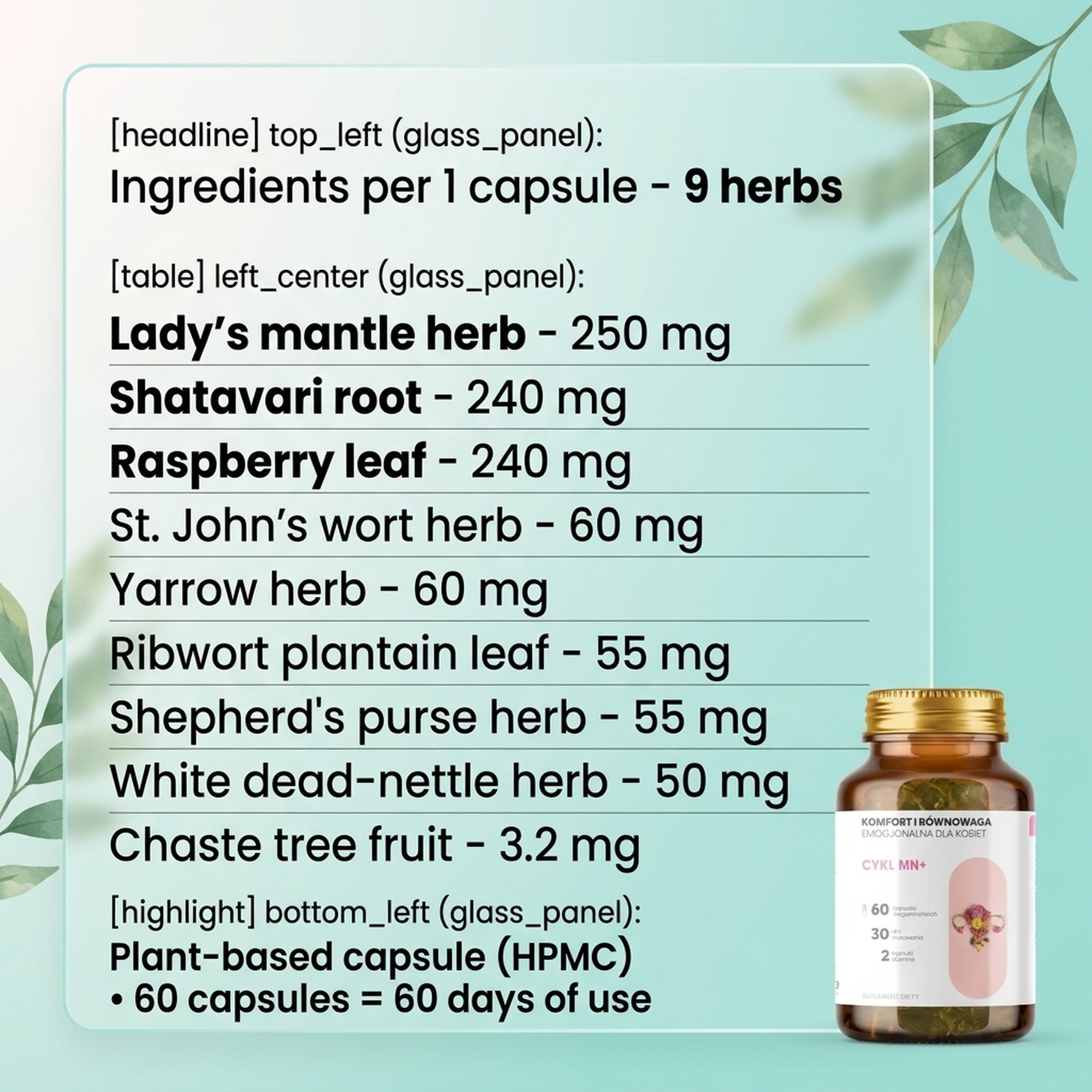 Ingredients in Cykl MN+ - Alchemilla + Shatavari + Raspberry for Cycle Harmony