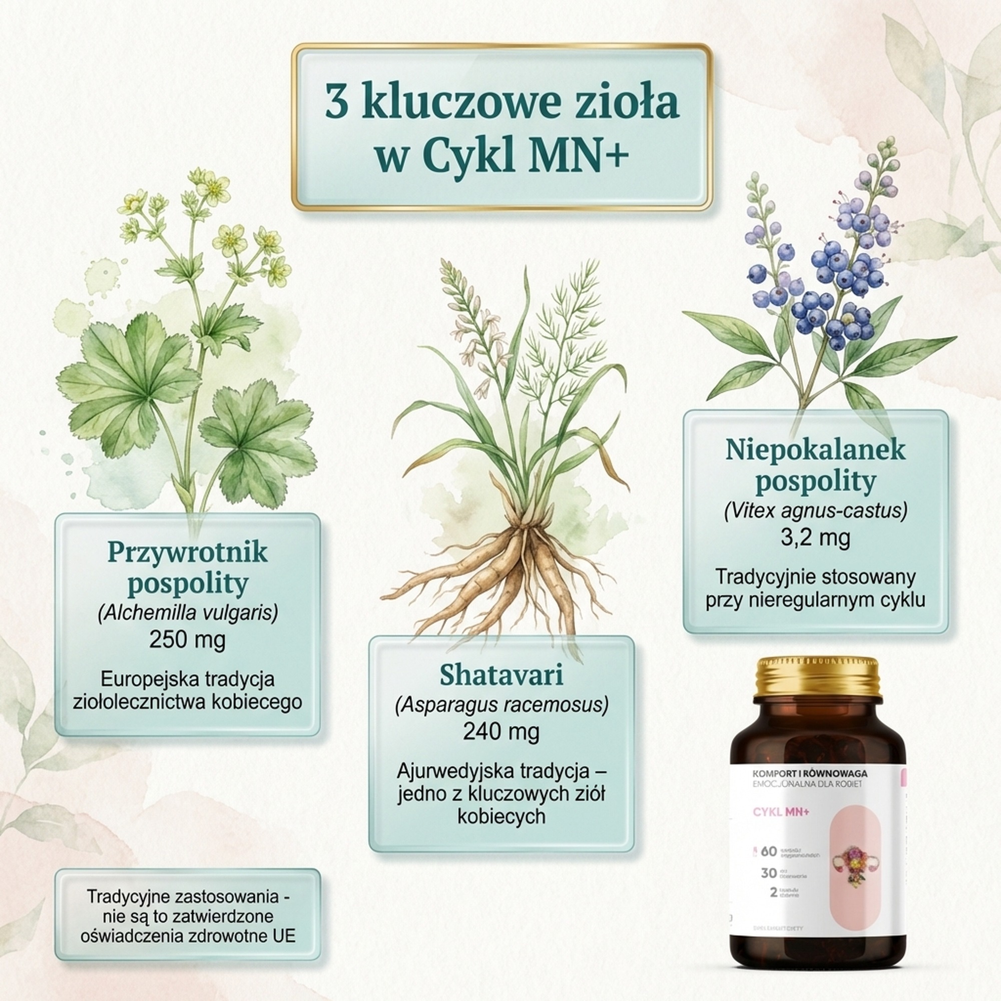 Cykl MN+ - Przywrotnik + Shatavari + Malina na harmonię cyklu