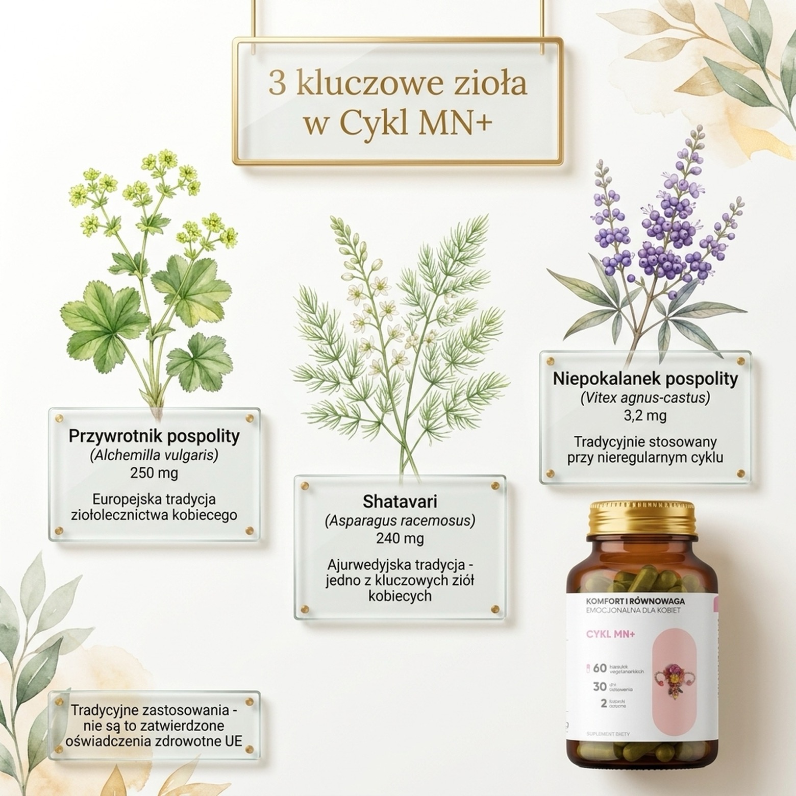 Cykl MN+ - Przywrotnik + Shatavari + Malina na harmonię cyklu