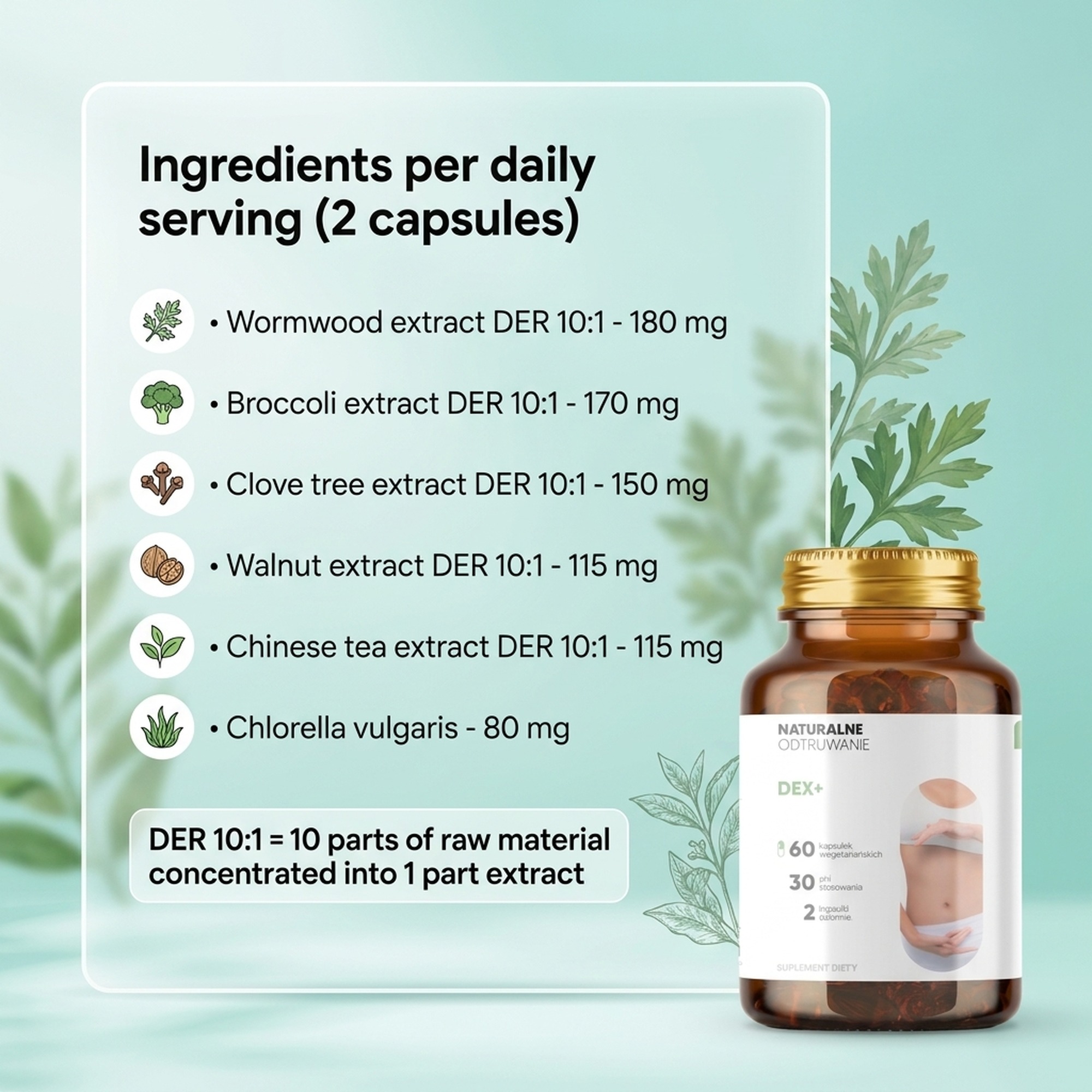 Dex+ - Wormwood + Broccoli + Clove Tree for Body Detox