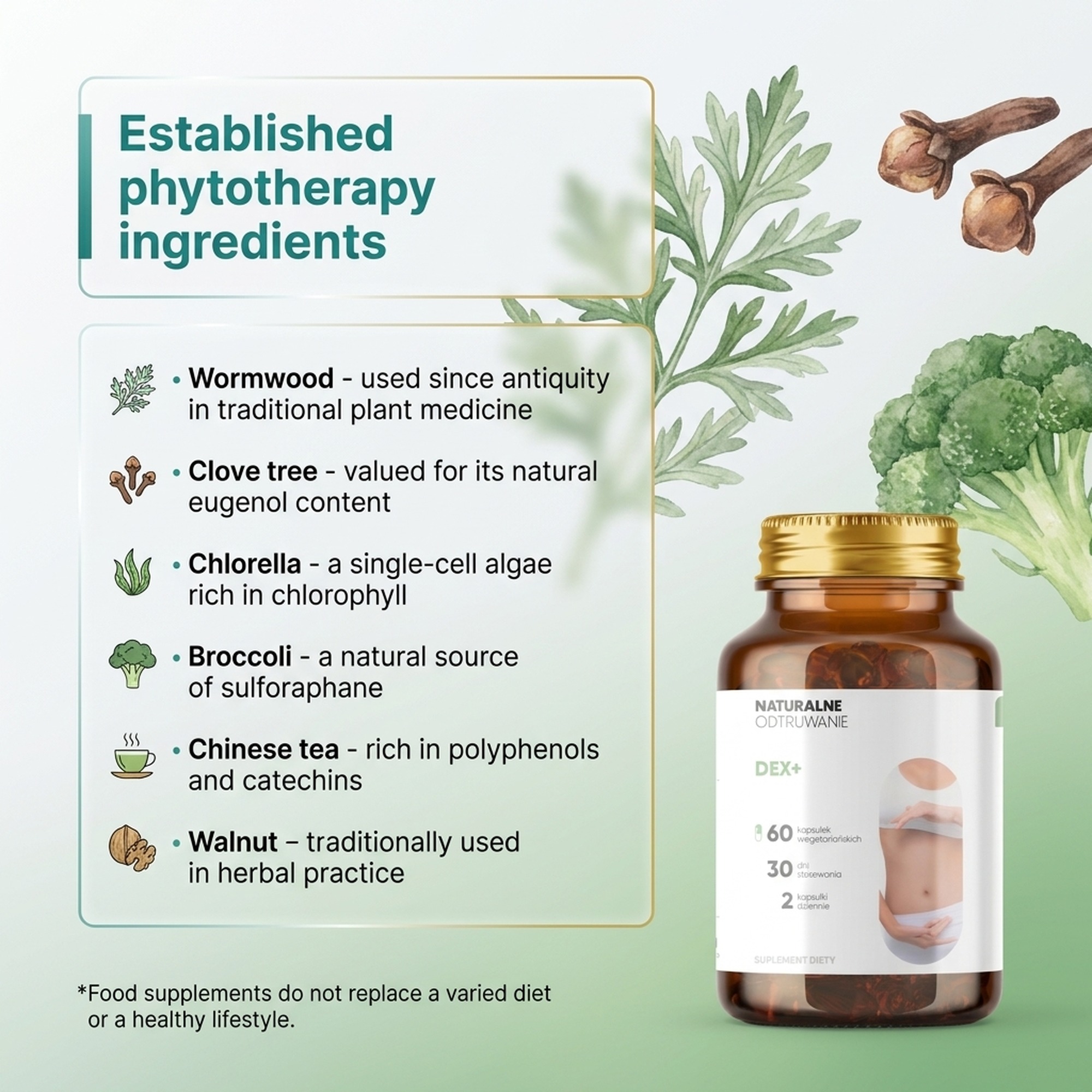 Dex+ - Wormwood + Broccoli + Clove Tree for Body Detox