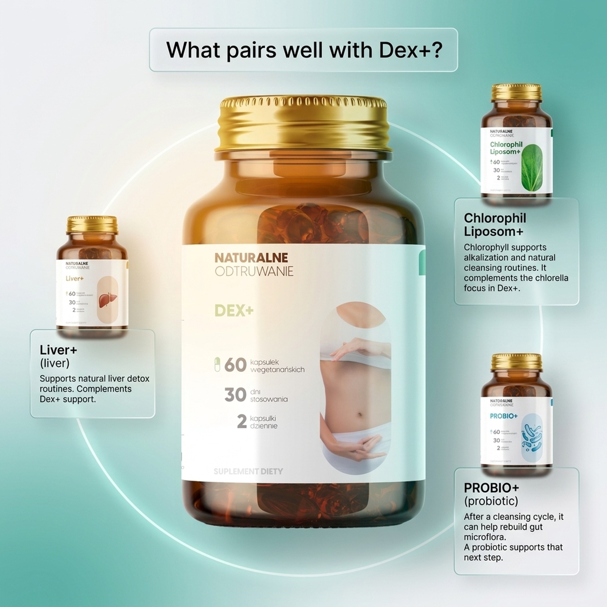 Dex+ - Wormwood + Broccoli + Clove Tree for Body Detox
