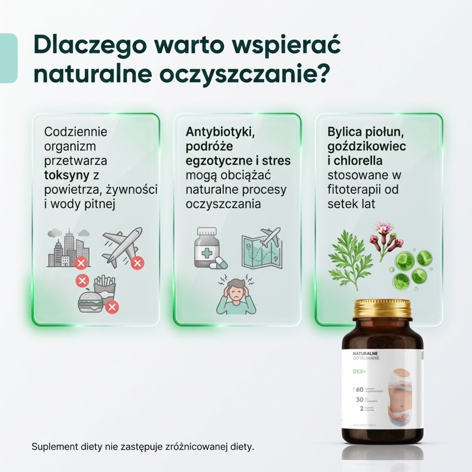 Dex+ - Bylica + Brokuł + Goździkowiec na oczyszczanie organizmu