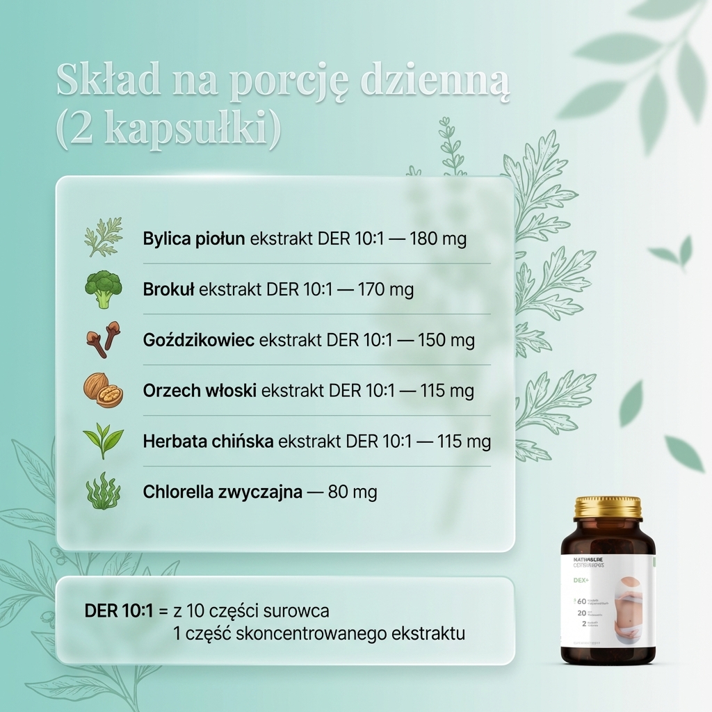 Skład Dex+ - Bylica + Brokuł + Goździkowiec na oczyszczanie organizmu