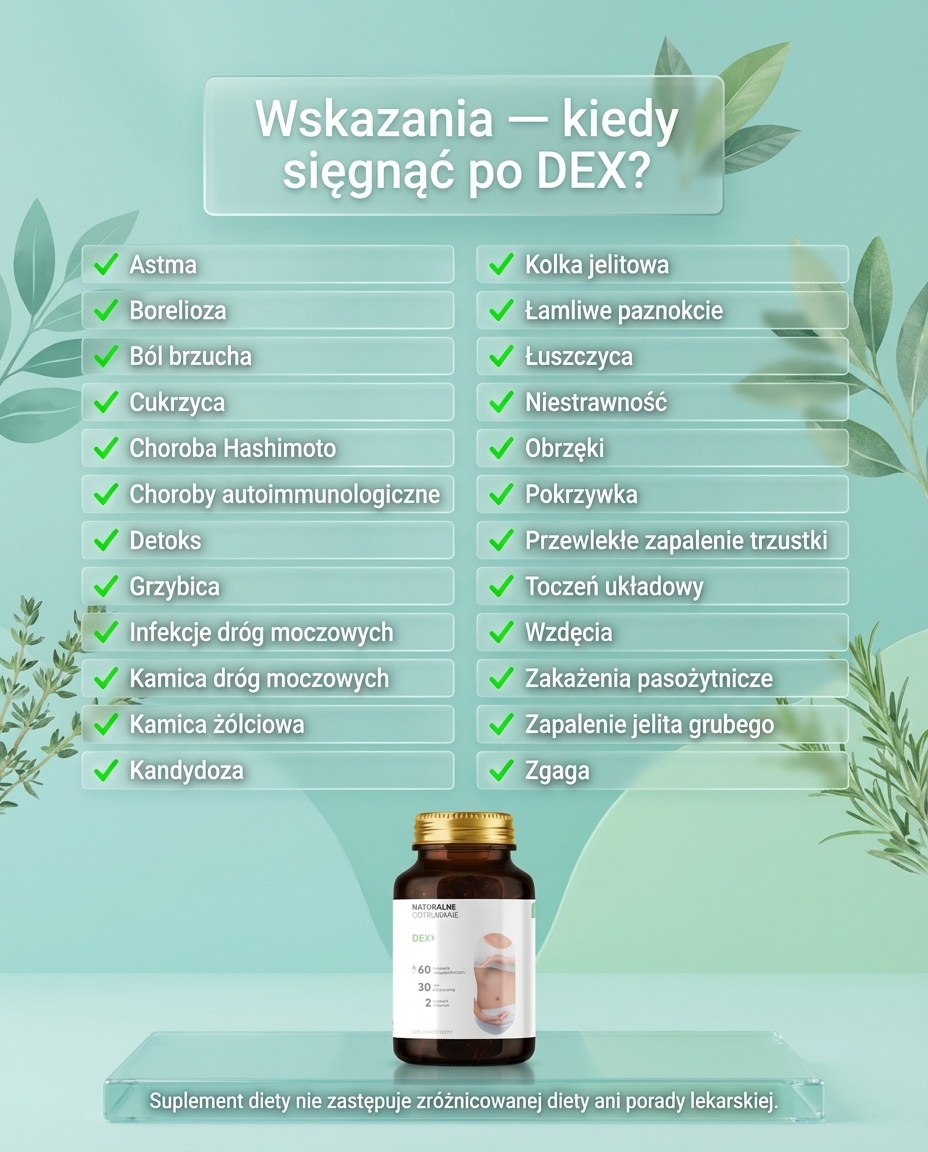Dex+ - Bylica + Brokuł + Goździkowiec na oczyszczanie organizmu