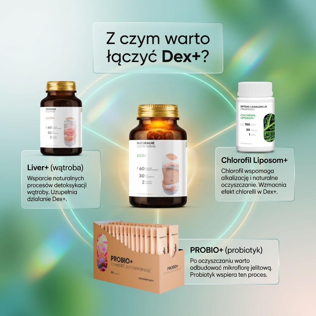 Dex+ - Bylica + Brokuł + Goździkowiec na oczyszczanie organizmu