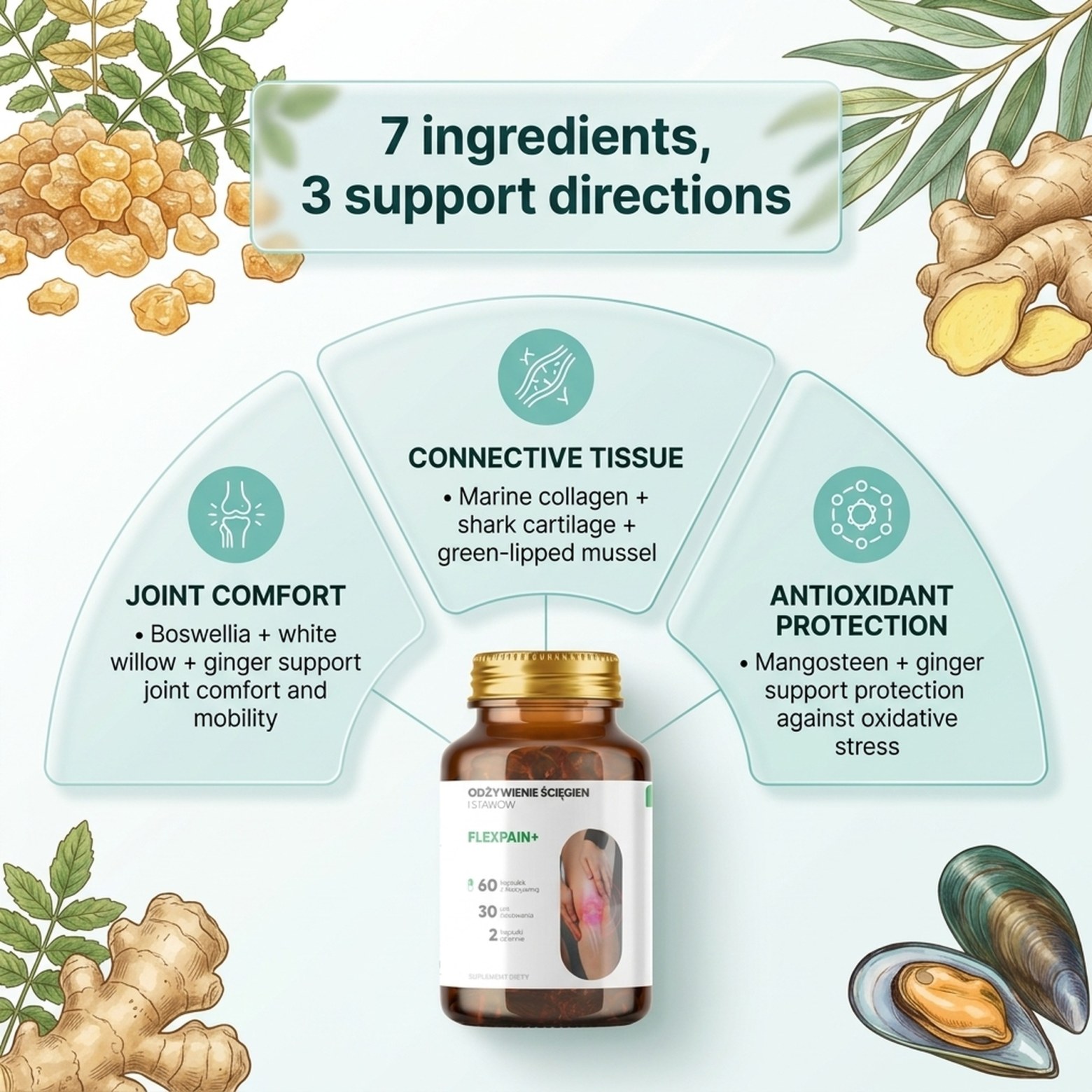 Flexpain+ - White Willow + Boswellia + Mangosteen for Healthy Joints